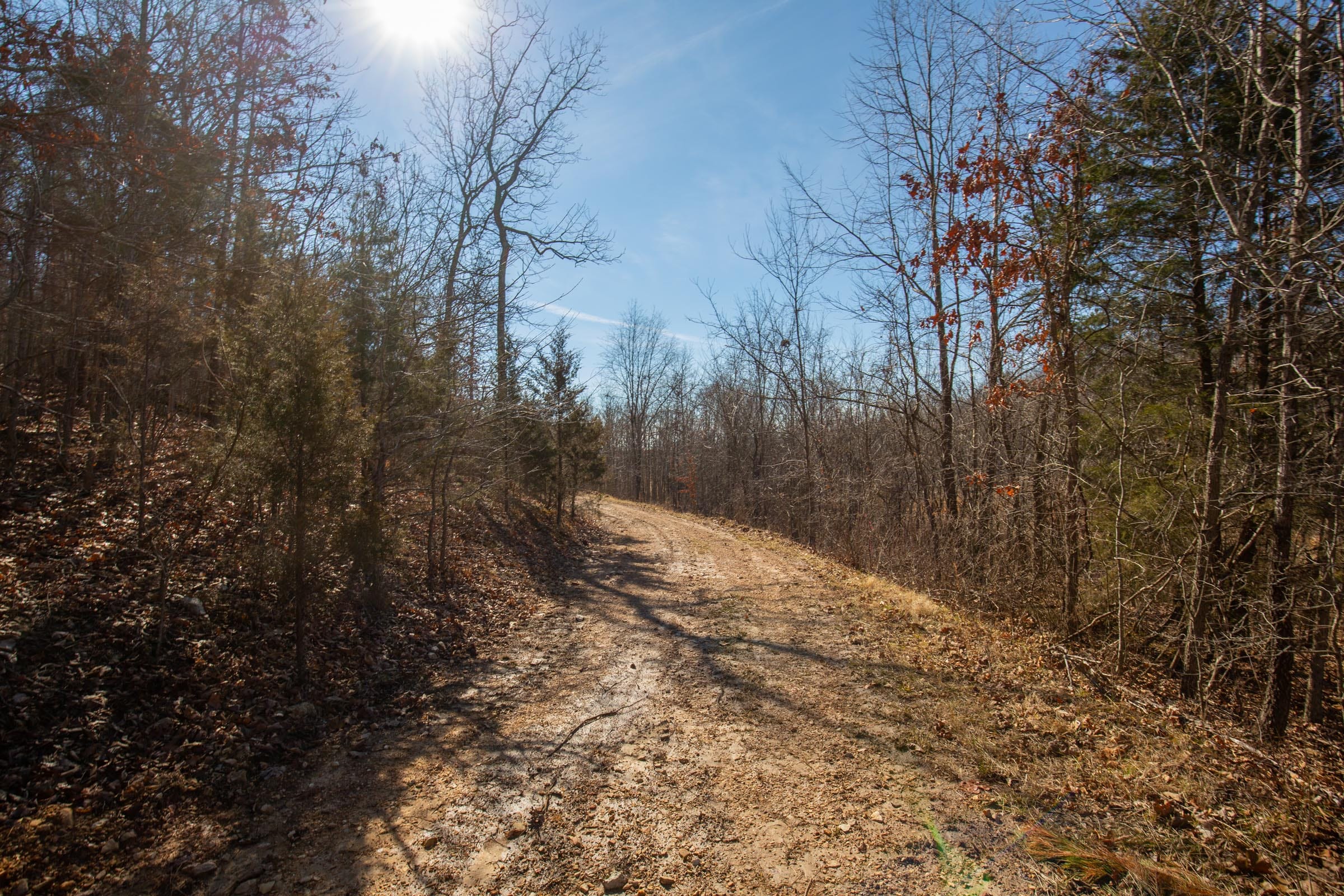 O’Connor Crossing Tract 24 photo 12