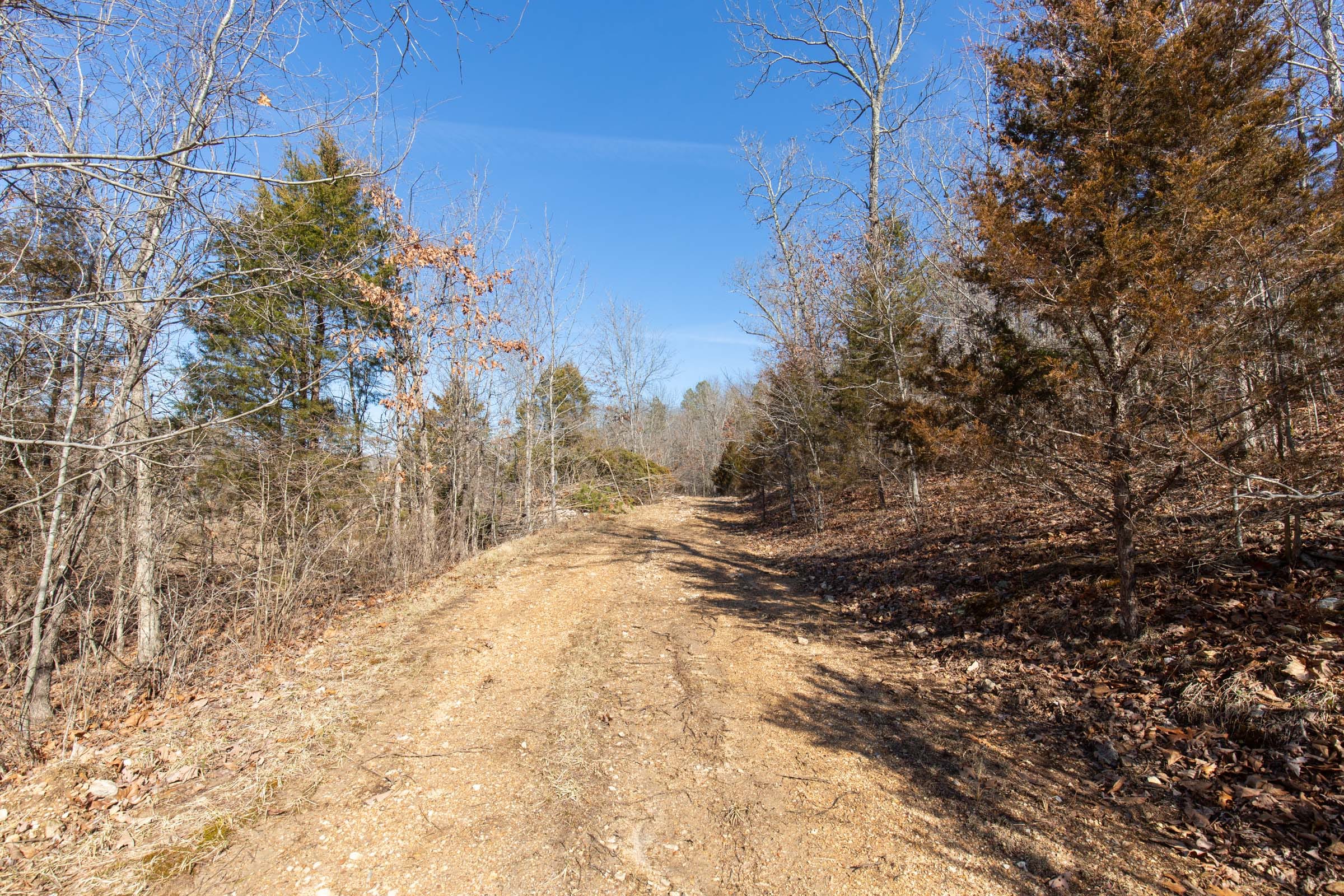 O’Connor Crossing Tract 24 photo 9