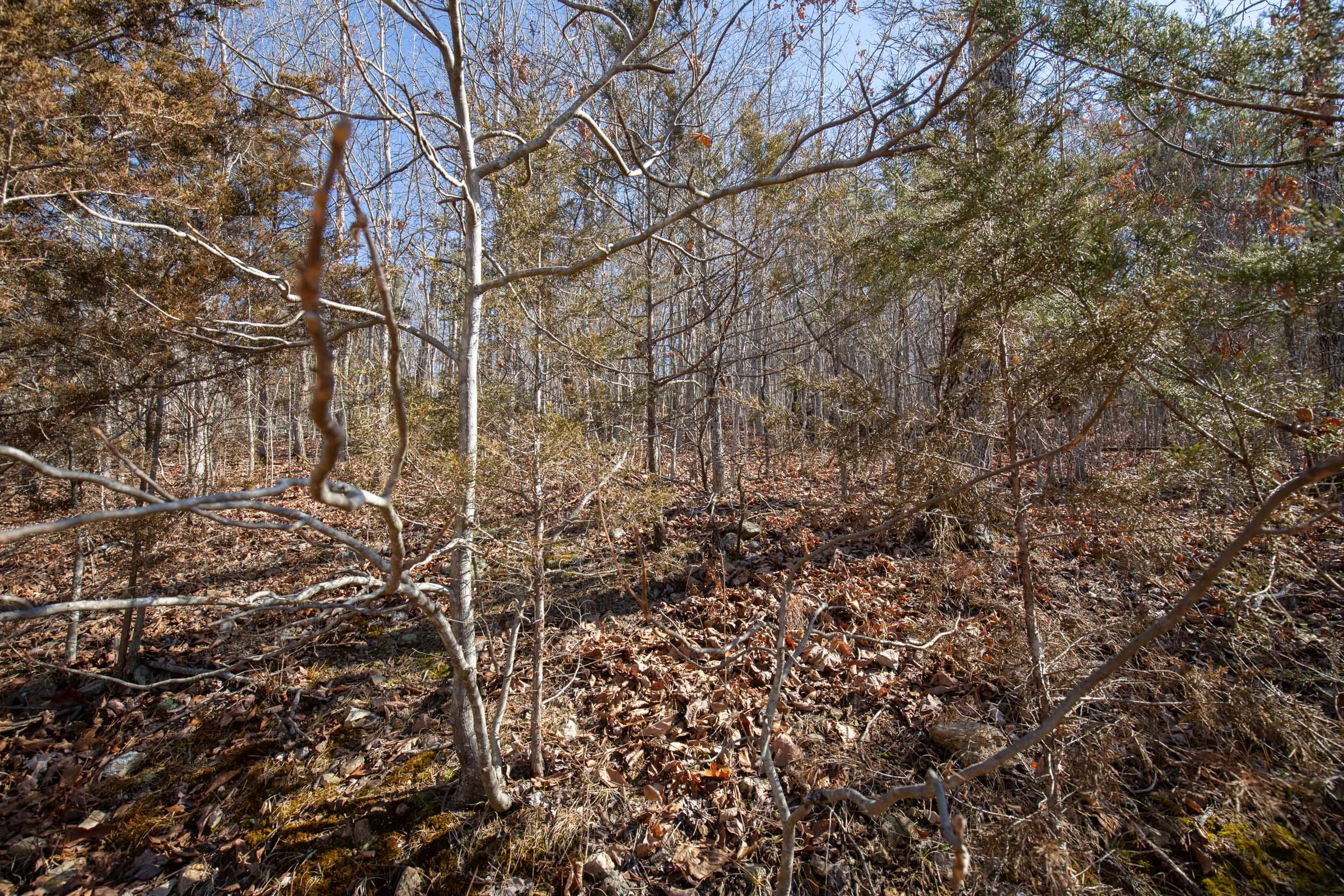 O’Connor Crossing Tract 24 photo 8