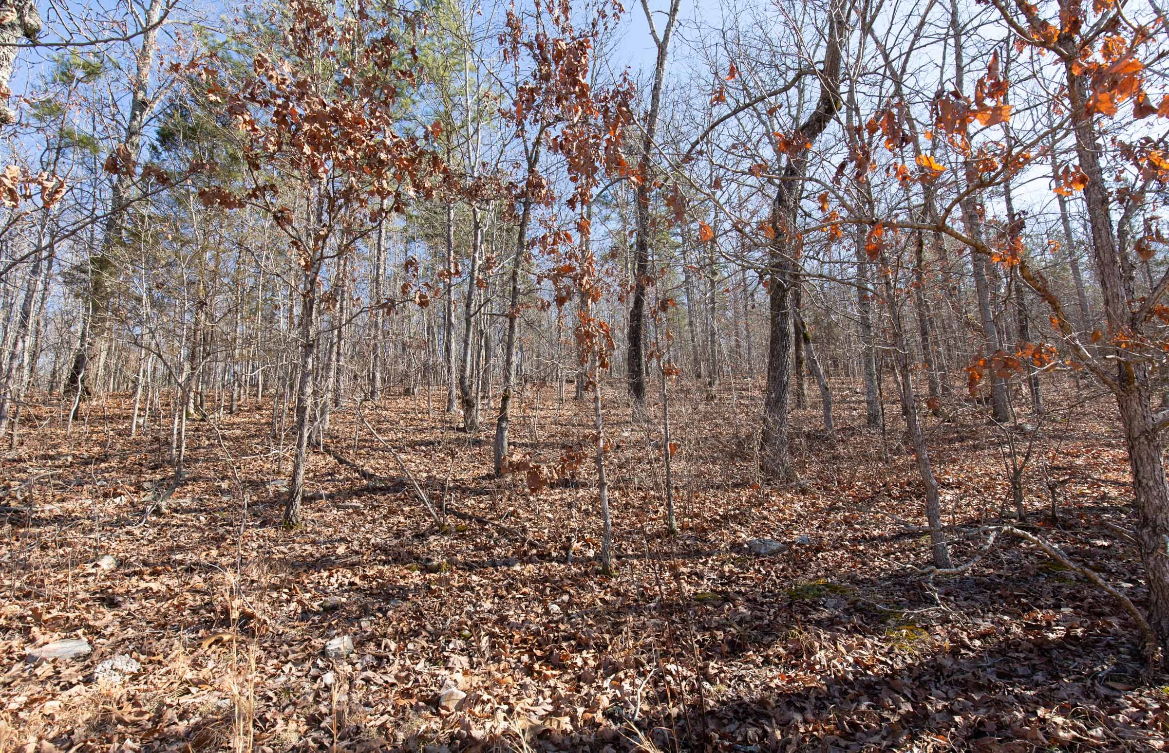 O’Connor Crossing Tract 24 photo 10
