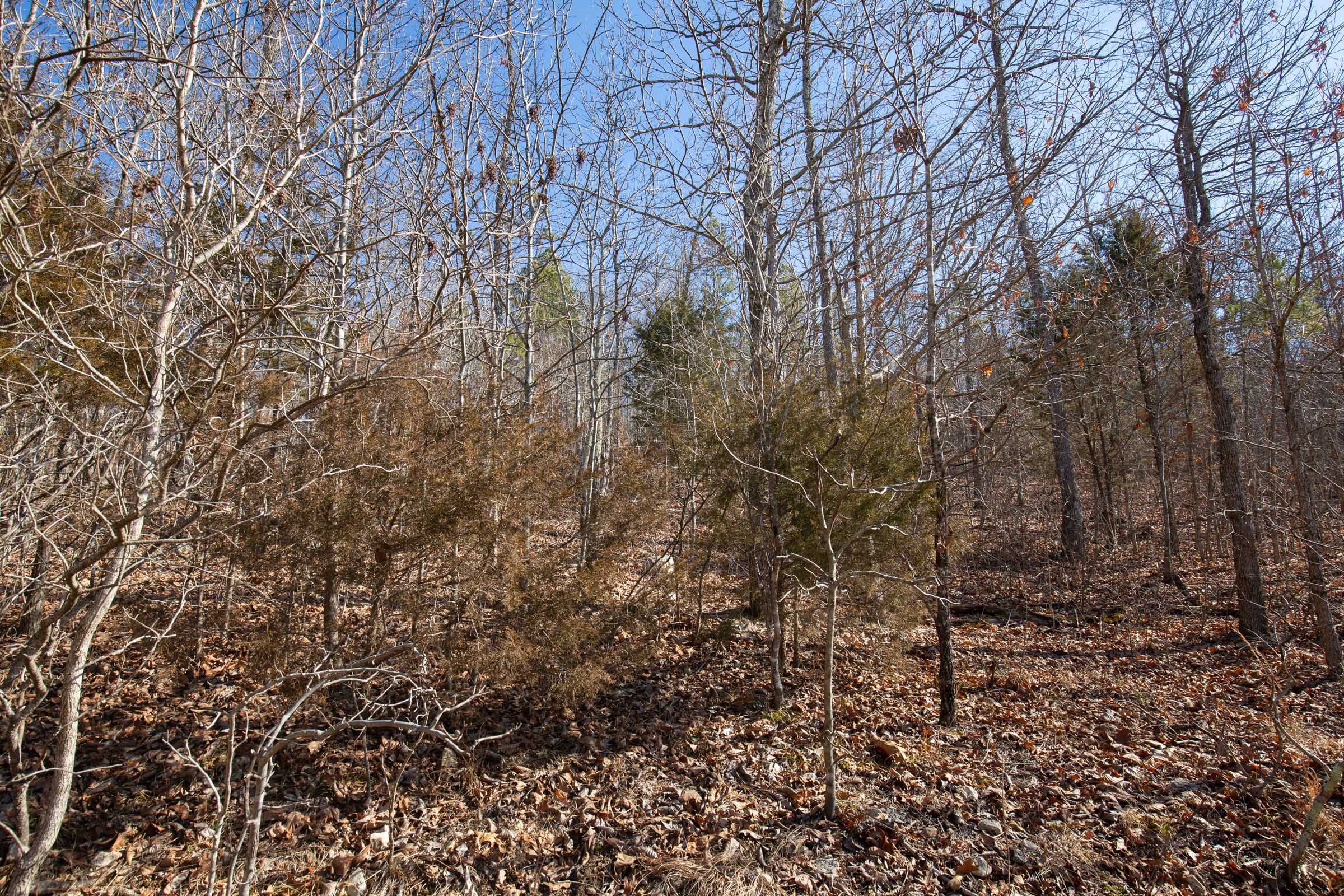 O’Connor Crossing Tract 24 photo 11