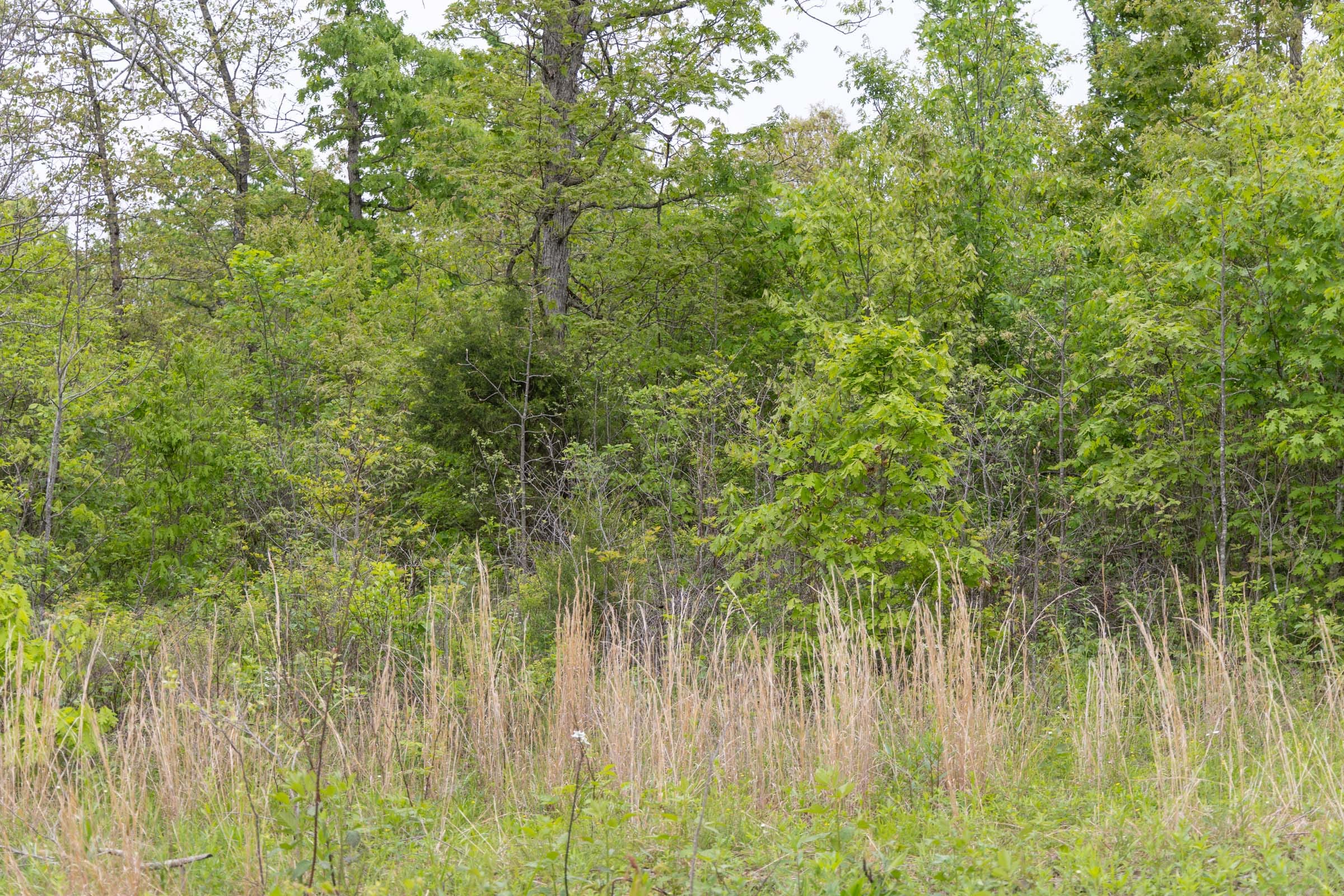Sleepy Hollow Phase II Tract 107 photo 1