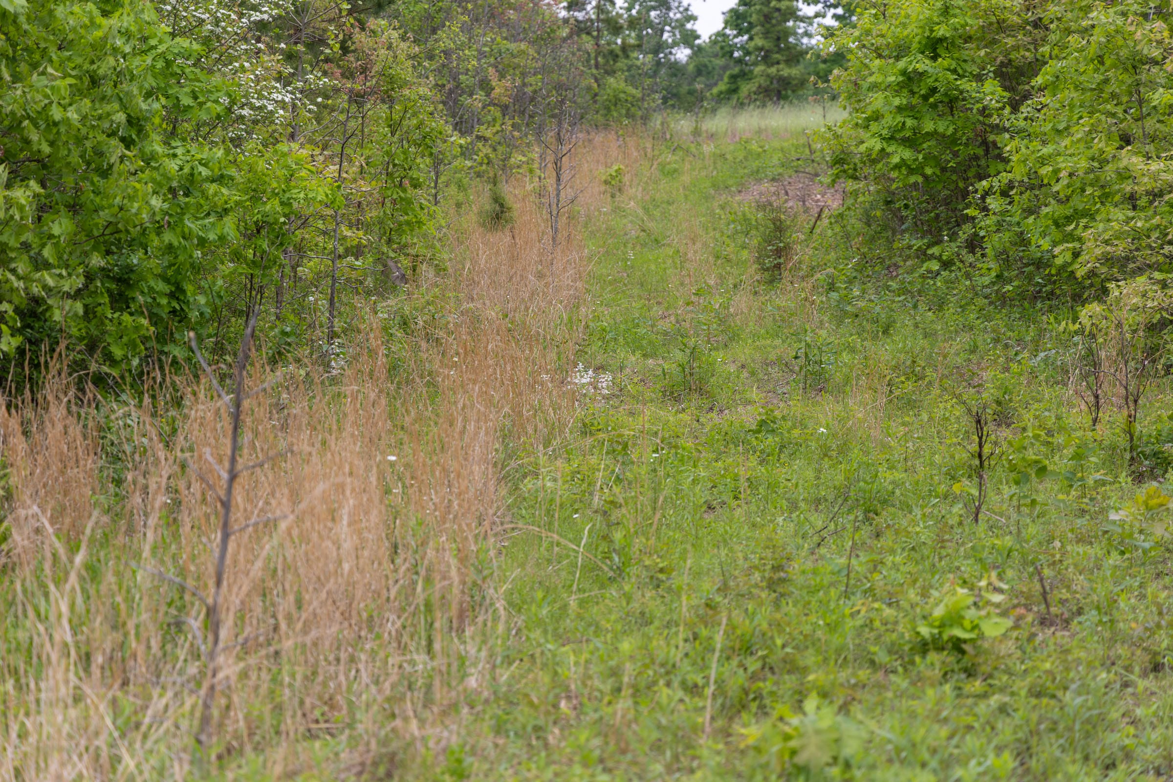 Sleepy Hollow Phase II Tract 107 photo 5