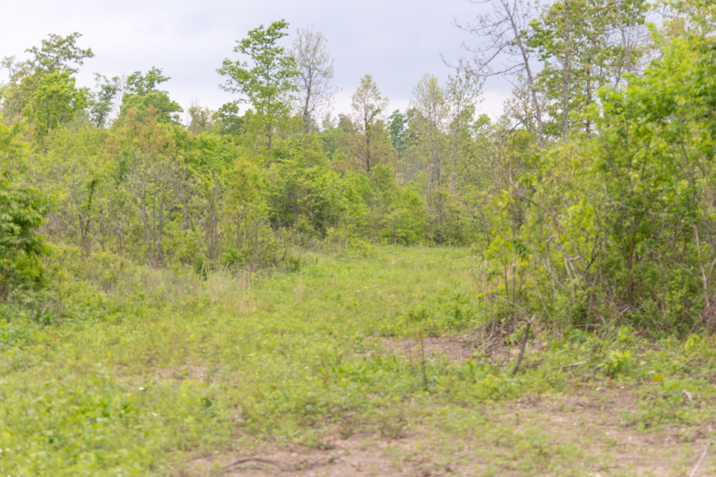 Sleepy Hollow Phase II Tract 107 photo 4