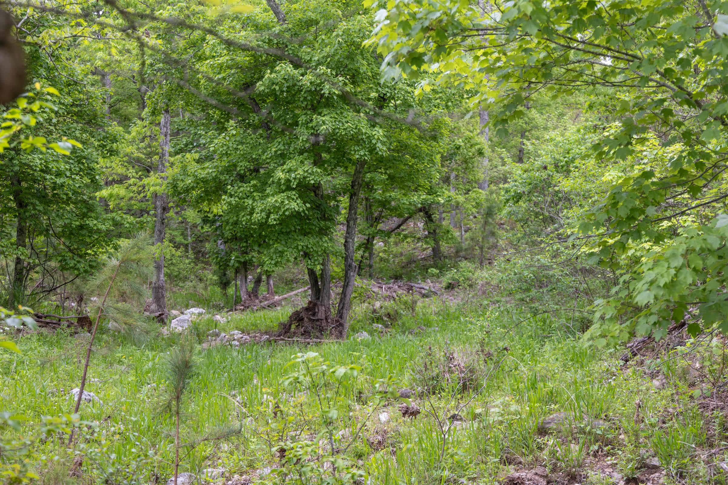Sleepy Hollow Phase II Tract 107 photo 7