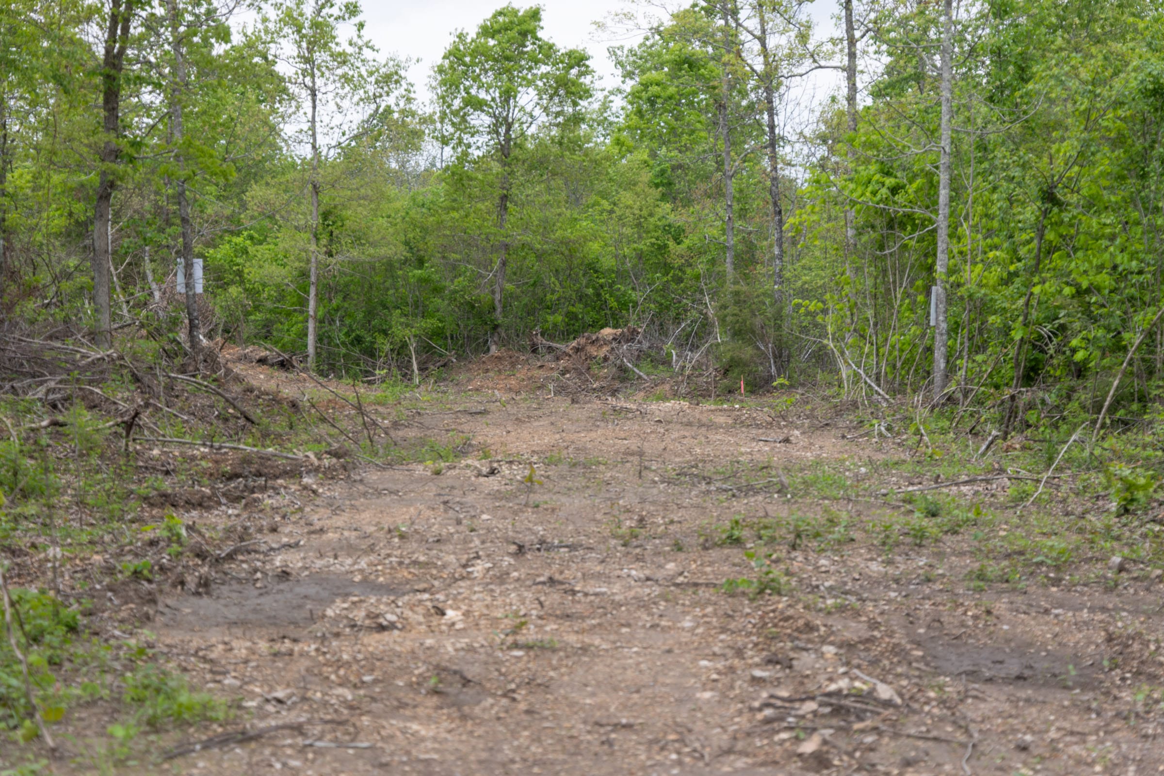 Sleepy Hollow Phase II Tract 107 photo 2