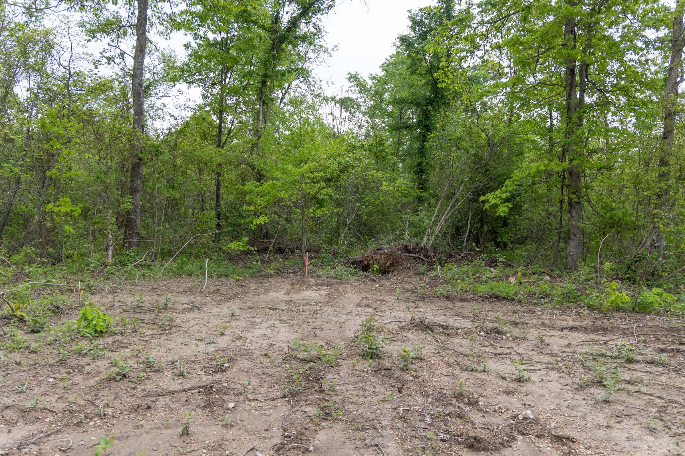 Sleepy Hollow Phase II Tract 107 photo 3