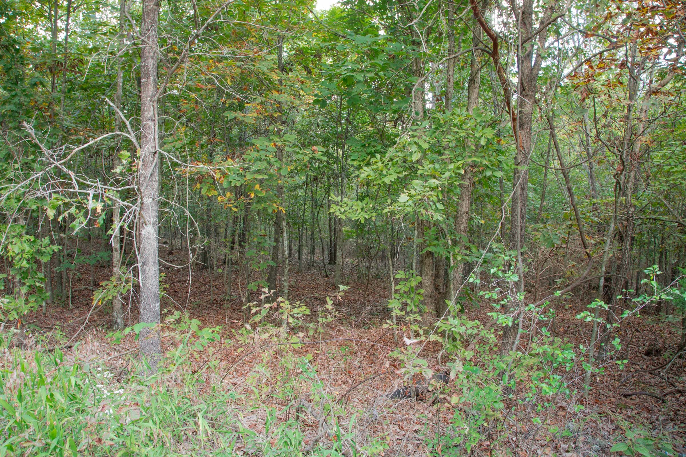 Wagon Wheel Ranch Tract 5 photo 5