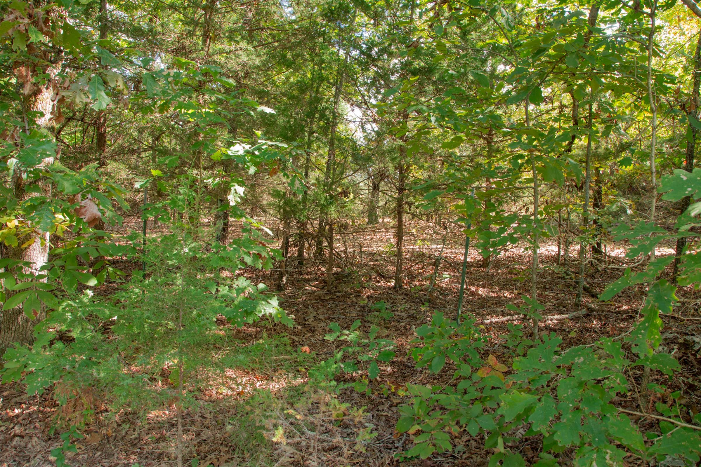 Wagon Wheel Ranch Tract 5 photo 1