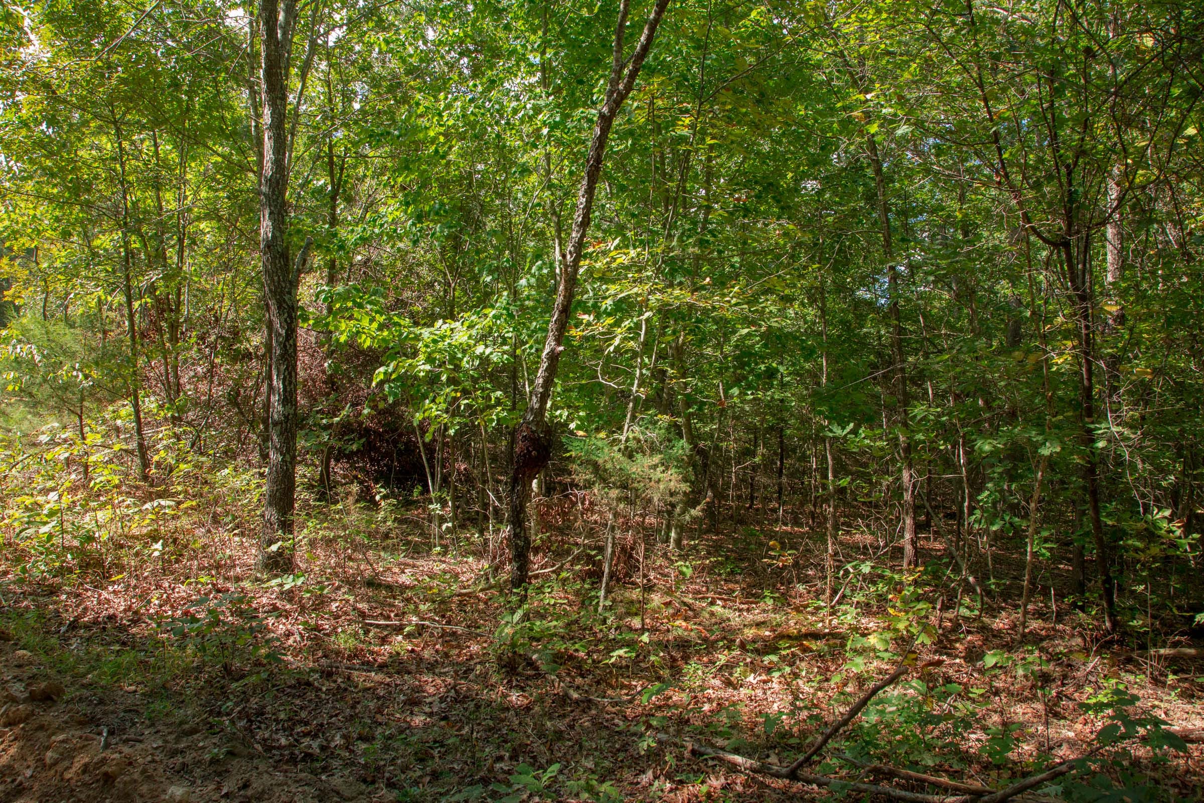 Wagon Wheel Ranch Tract 5 photo 9