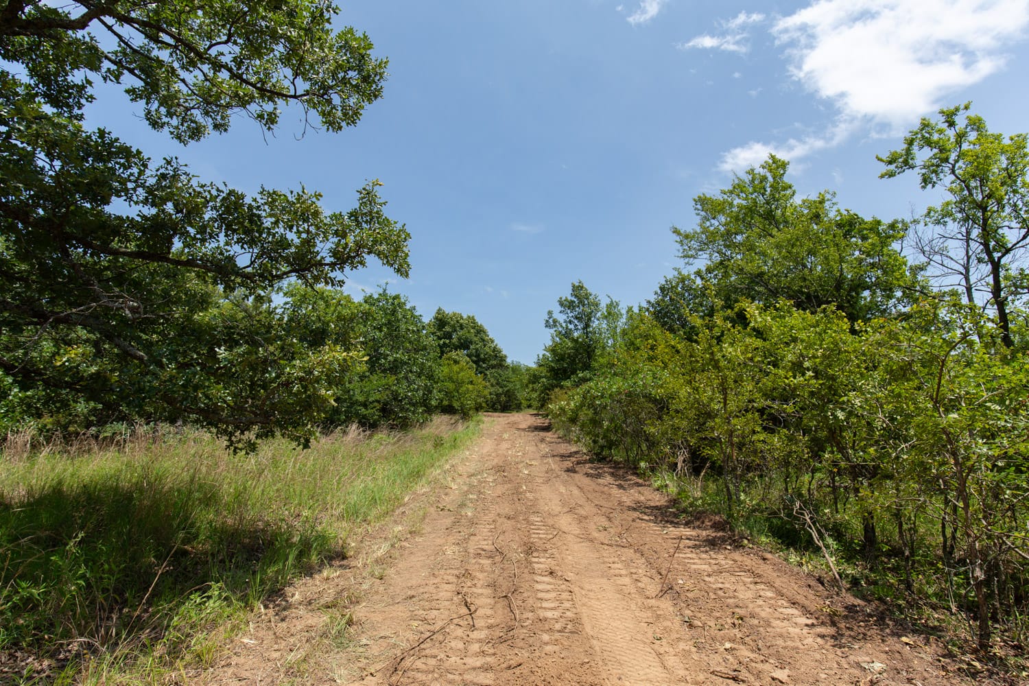 Timber Ridge Tract 48 photo 7