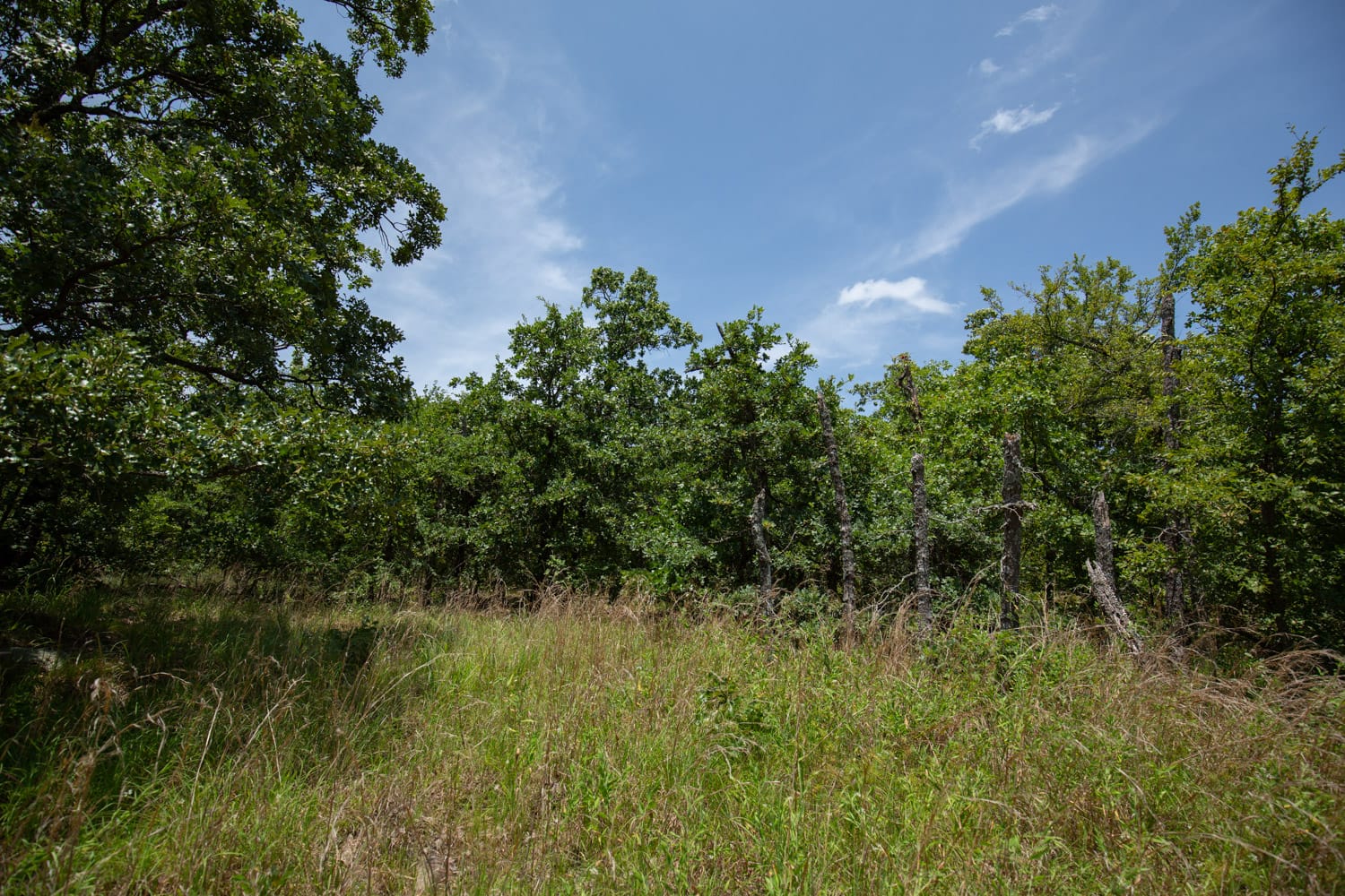 Timber Ridge Tract 48 photo 2