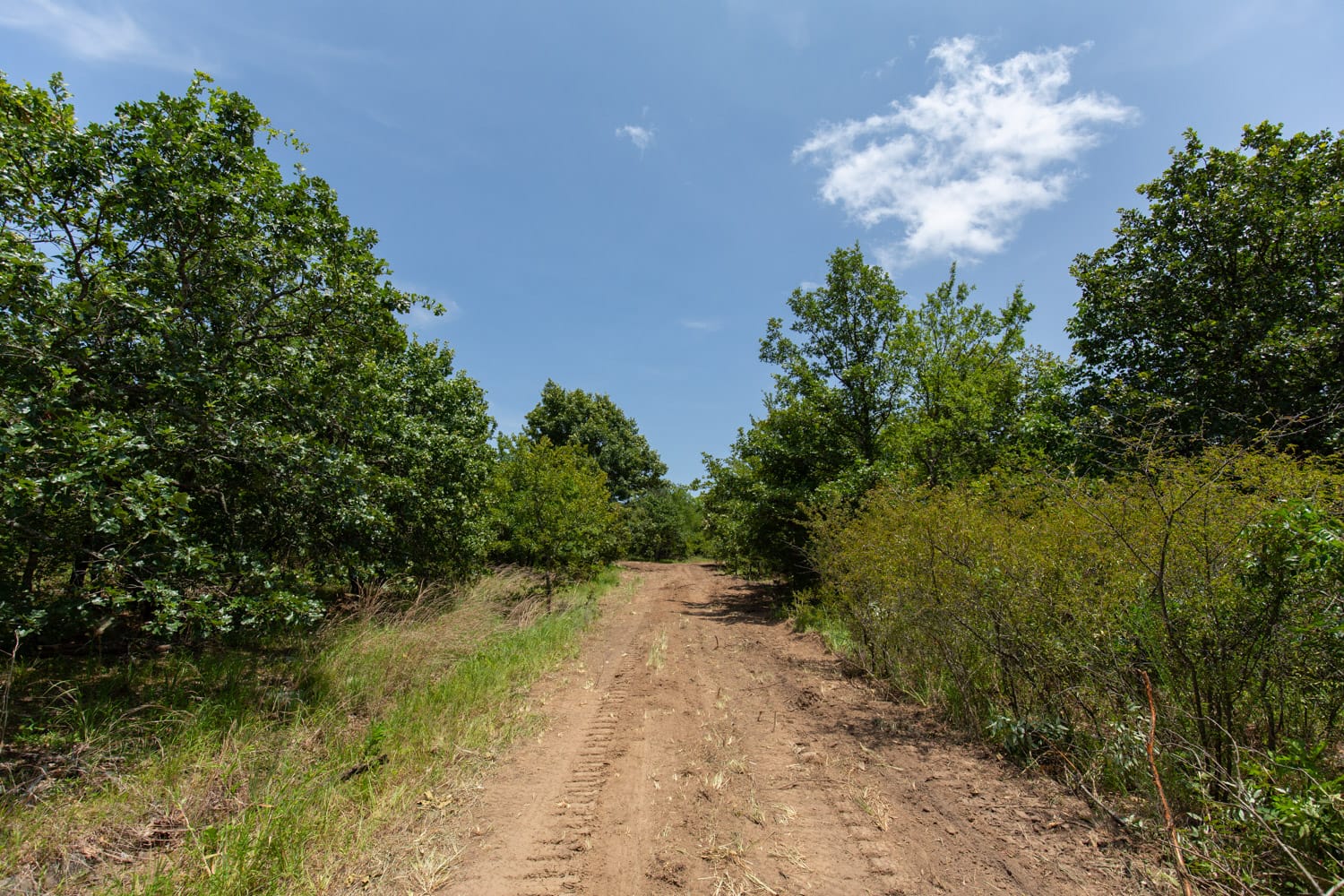 Timber Ridge Tract 48 photo 3