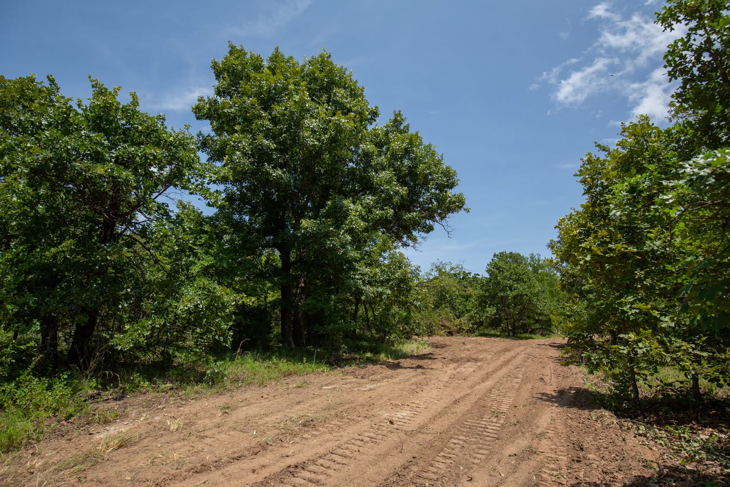 Timber Ridge Tract 48 photo 5