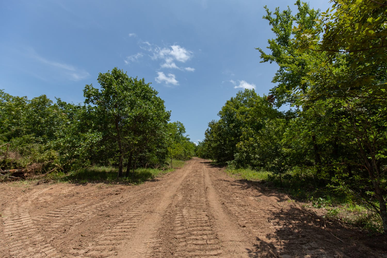 Timber Ridge Tract 48 photo 1