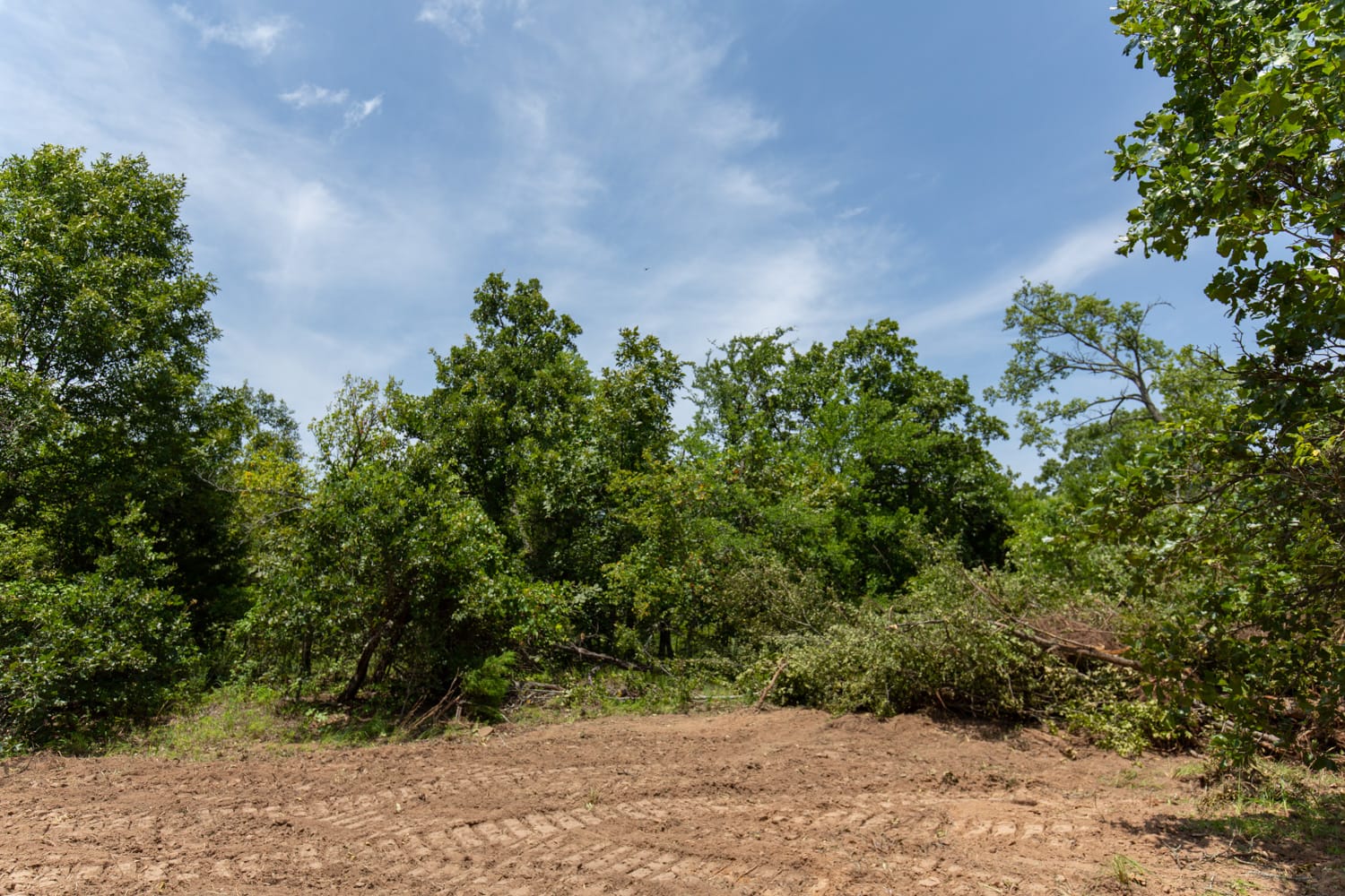 Timber Ridge Tract 48 photo 9