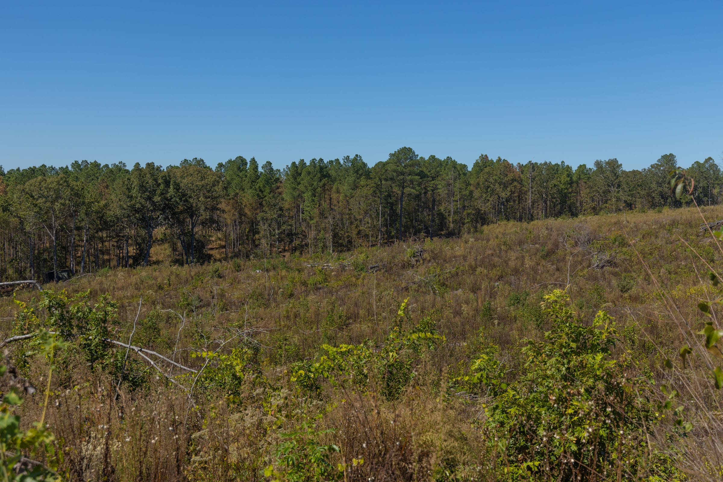 Meyer’s Ridge Tract 42 photo 13