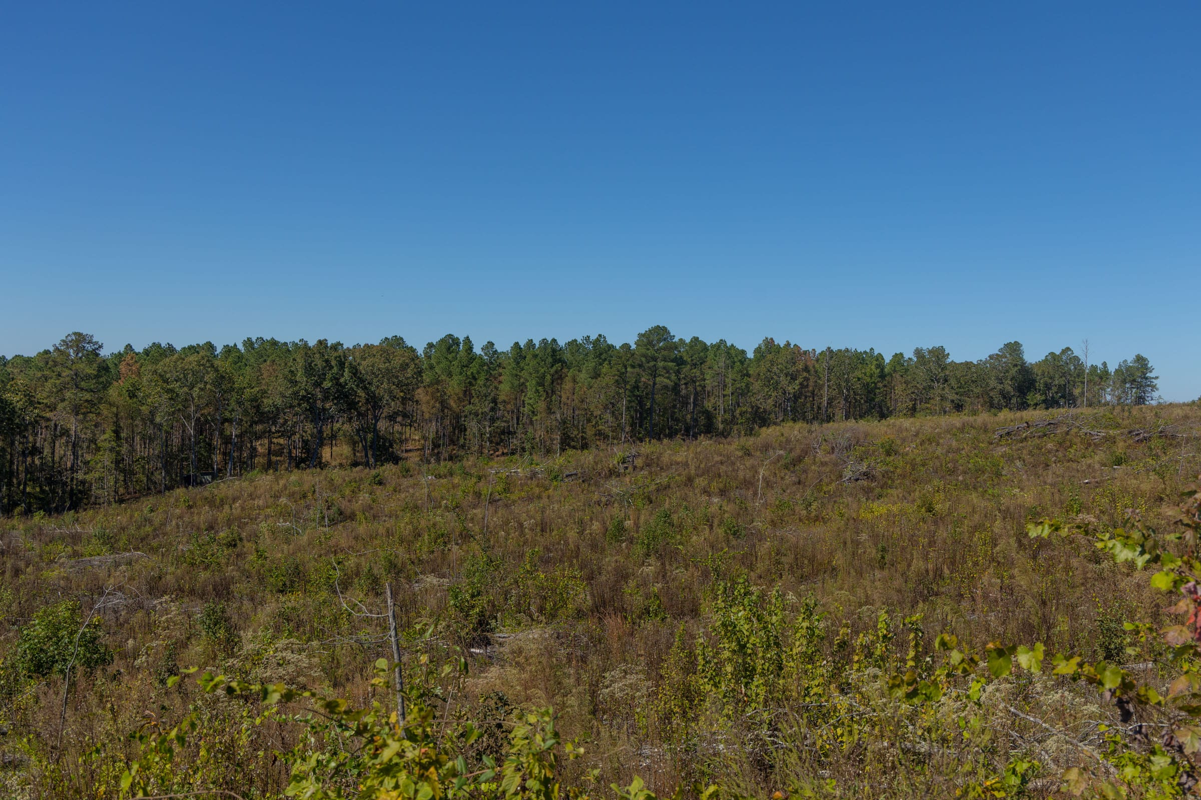 Meyer’s Ridge Tract 42 photo 11