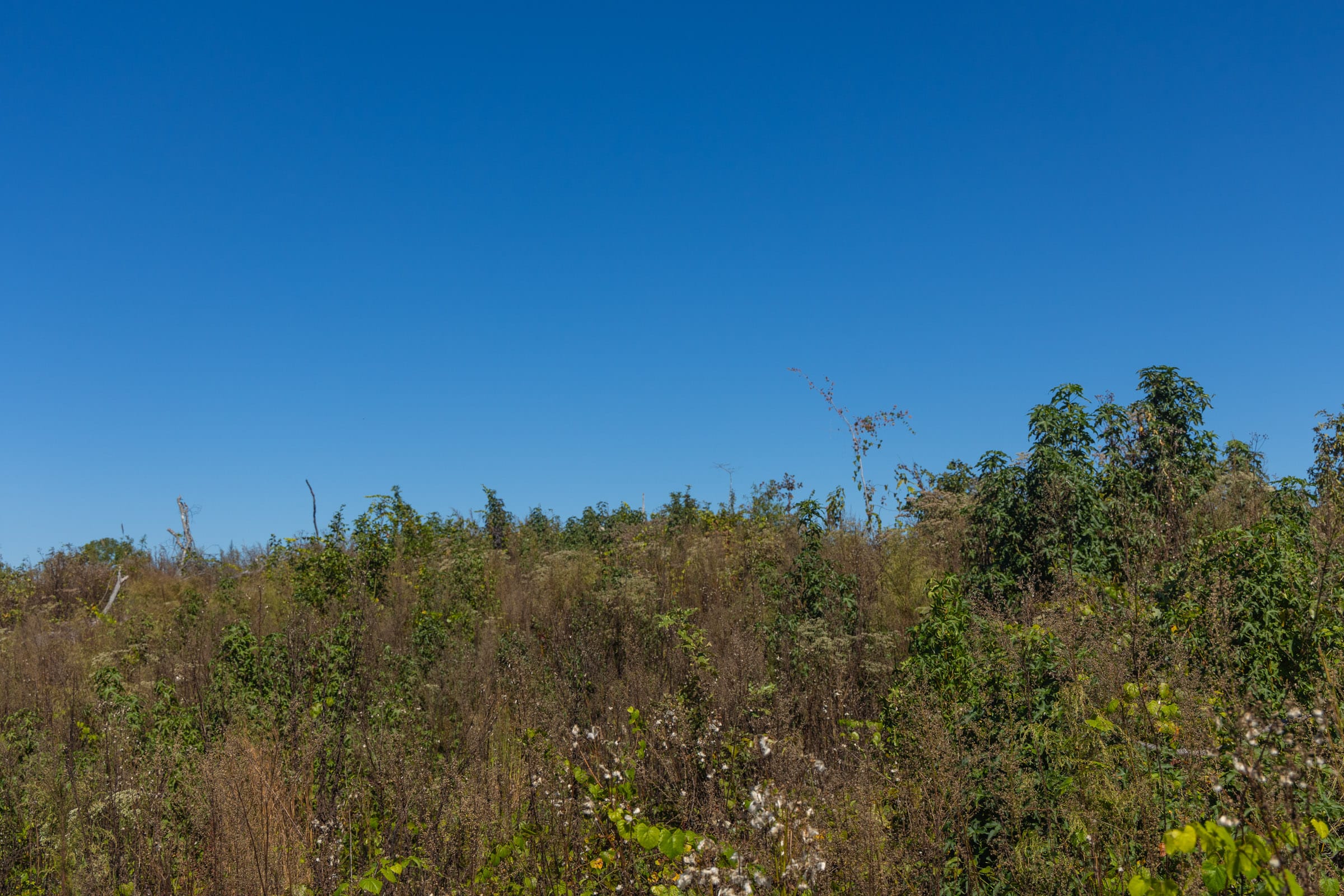 Meyer’s Ridge Tract 42 photo 10