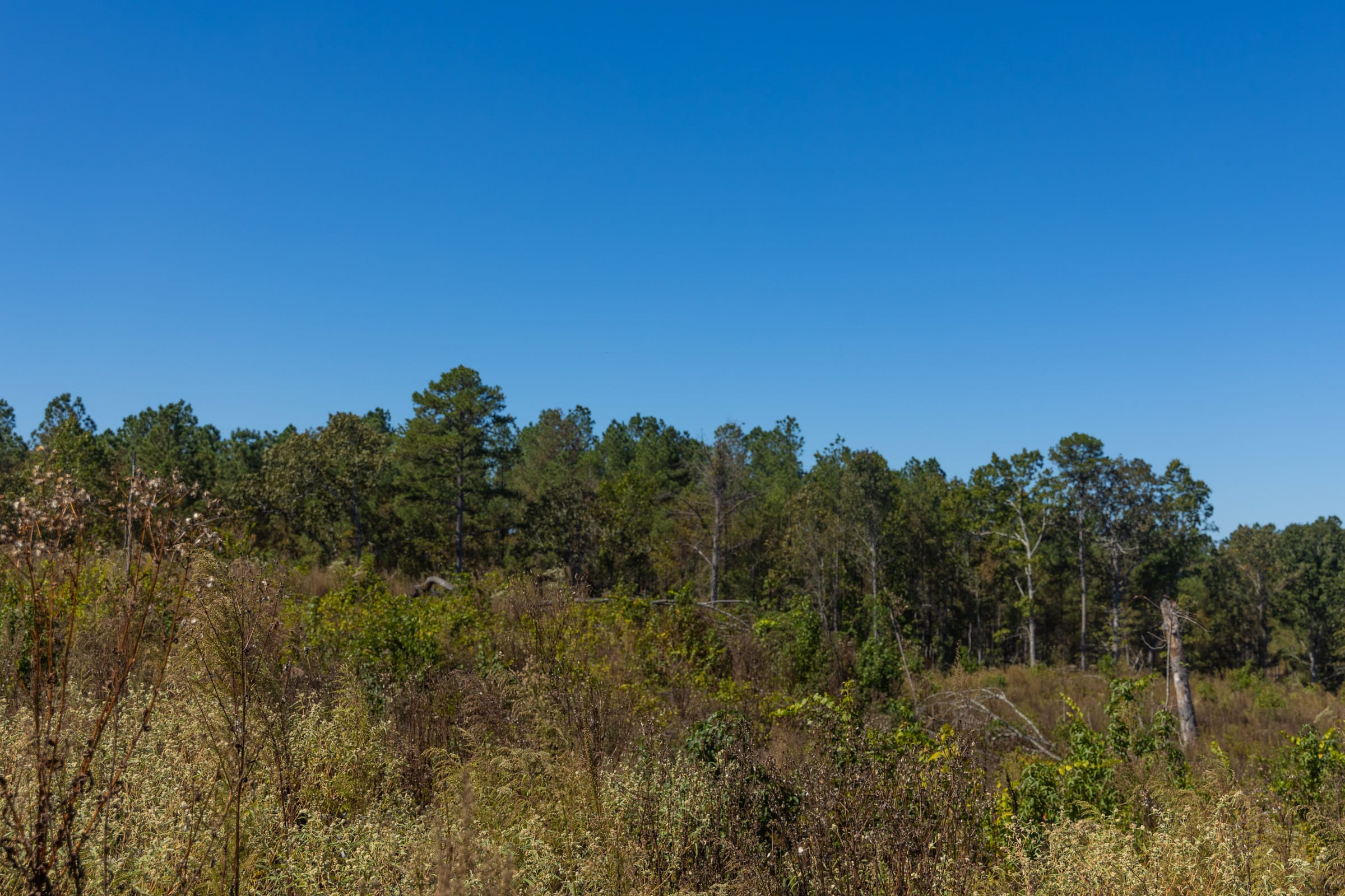 Meyer’s Ridge Tract 42 photo 8