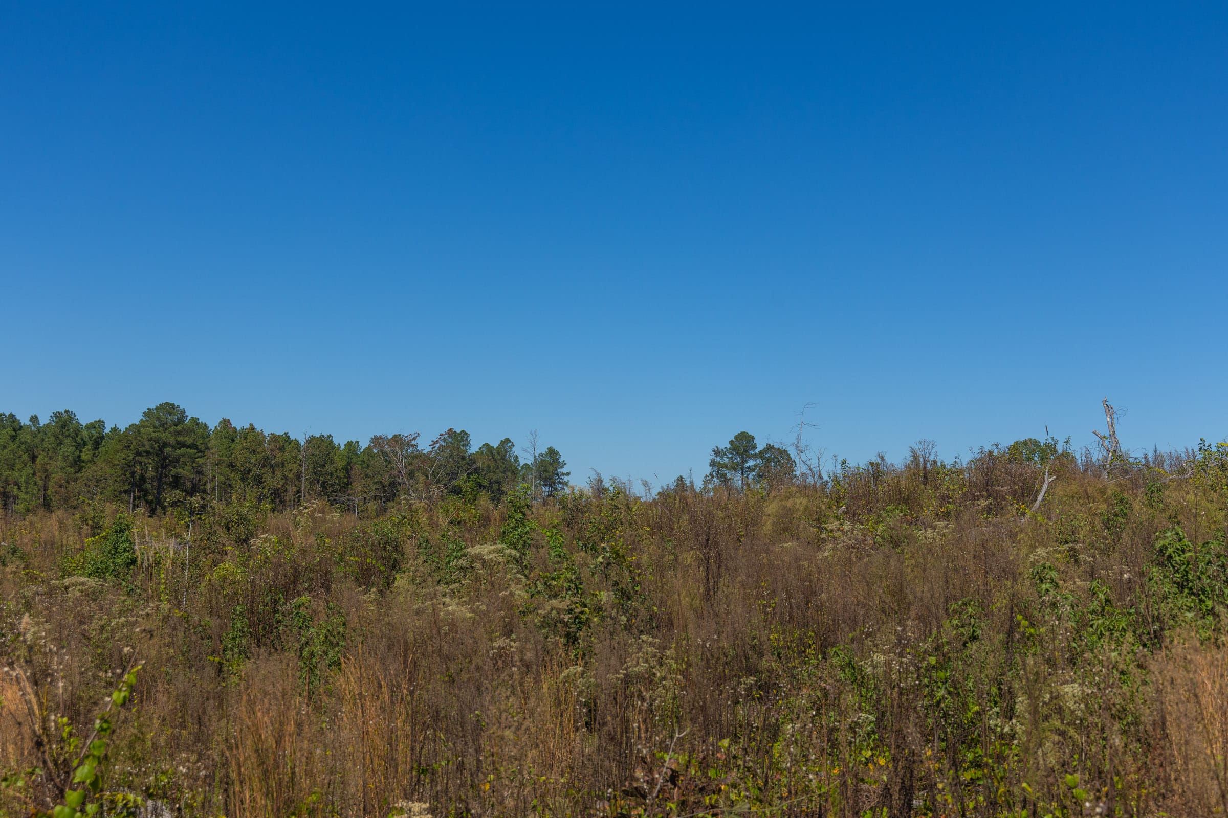 Meyer’s Ridge Tract 42 photo 6