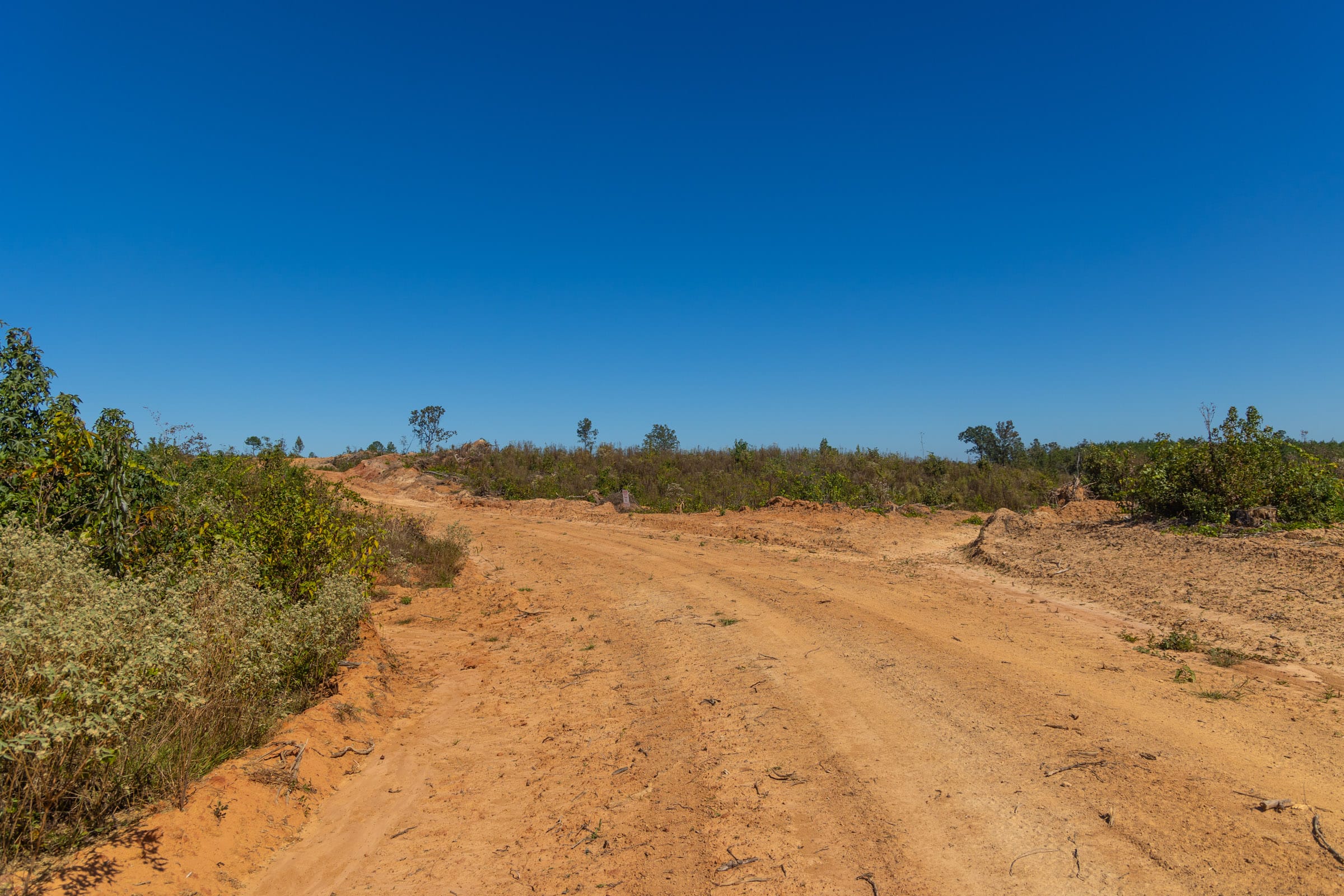 Meyer’s Ridge Tract 42 photo 12