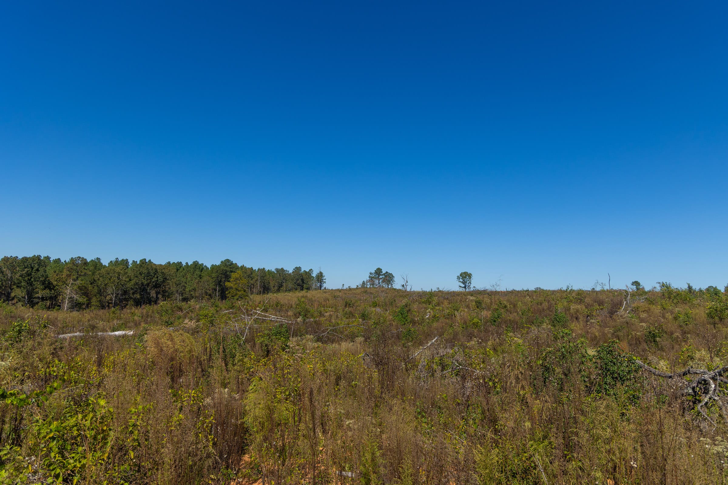 Meyer’s Ridge Tract 42 photo 5
