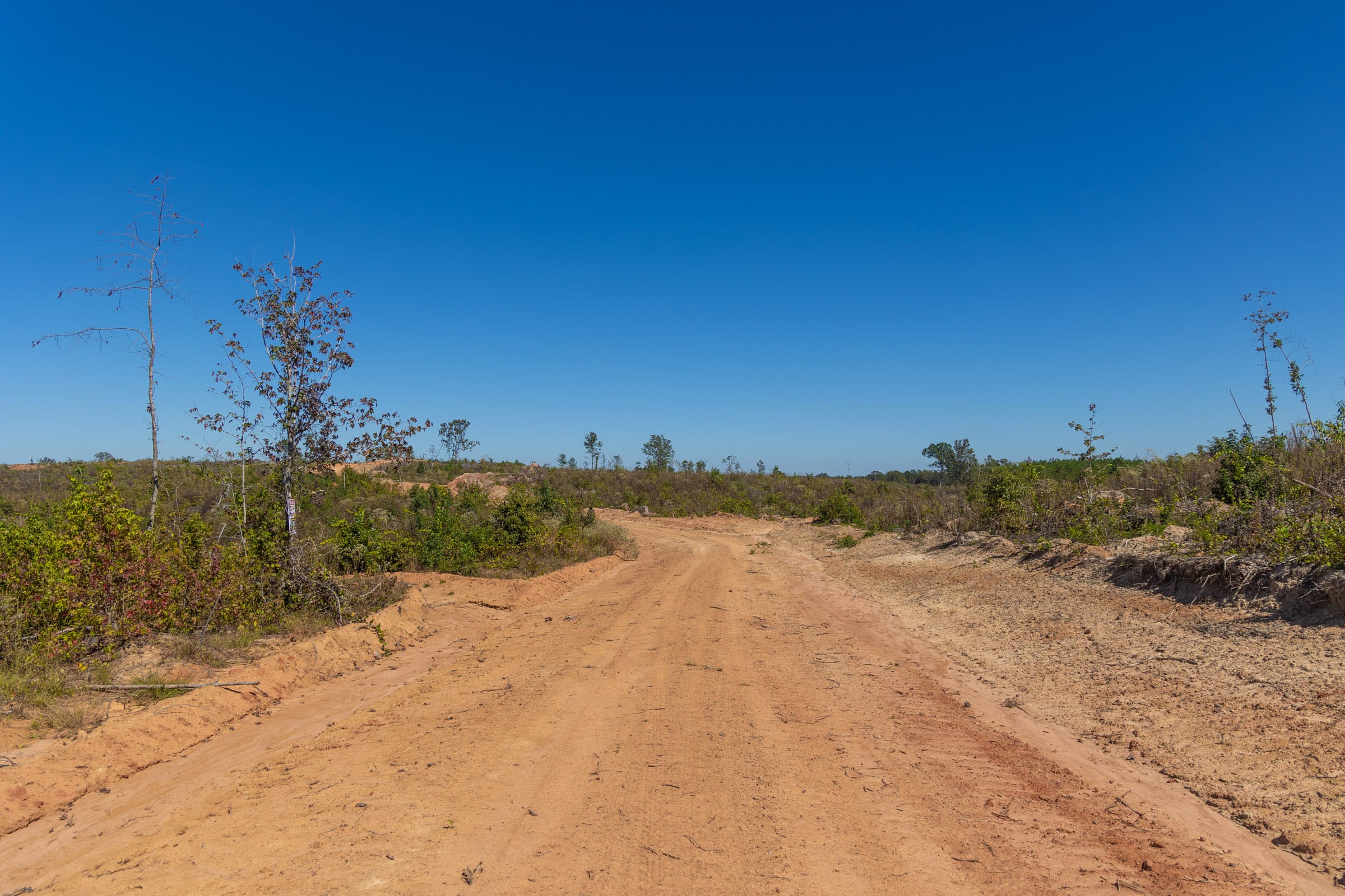 Meyer’s Ridge Tract 42 photo 3