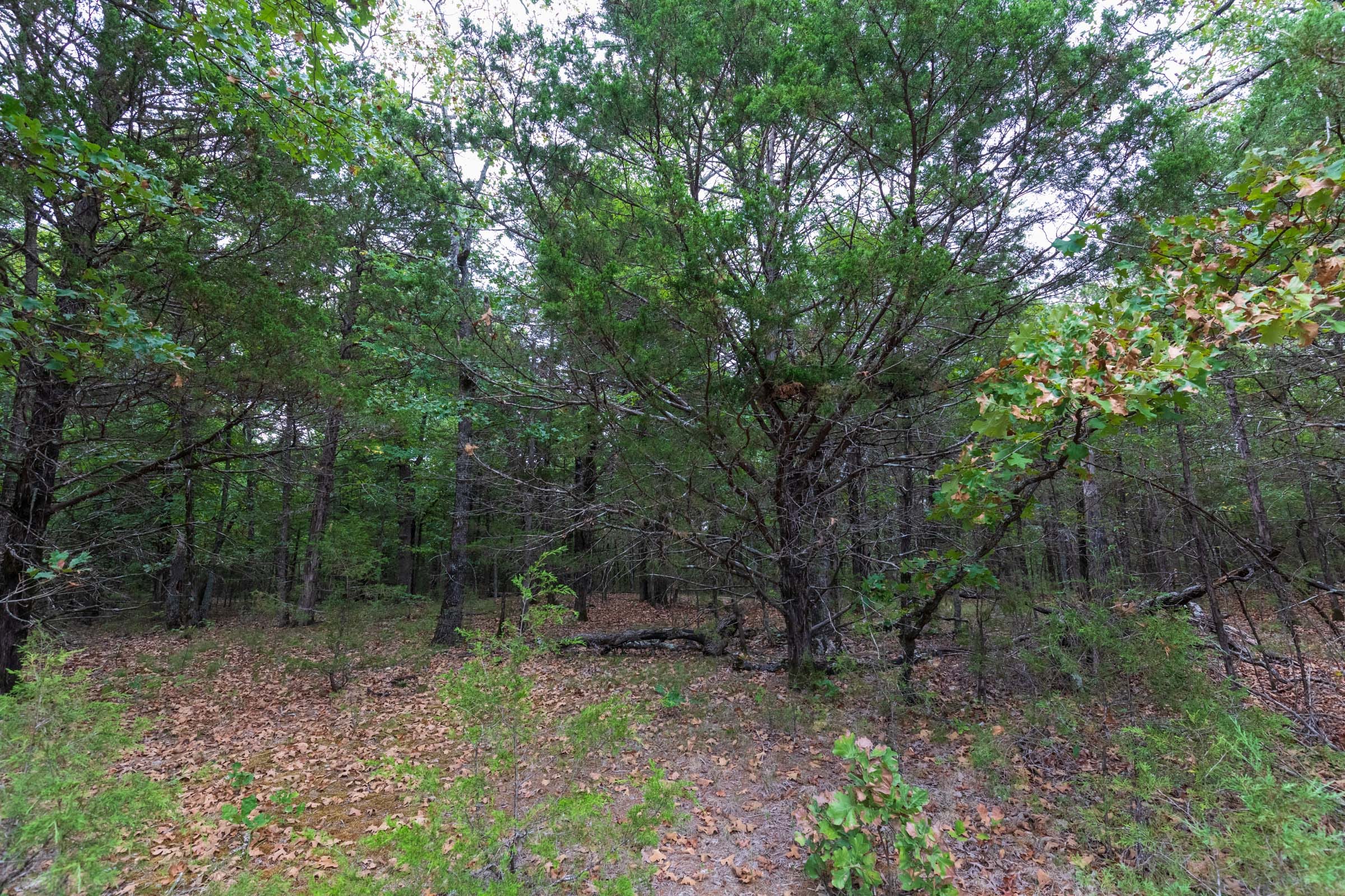 Heritage Bend Tract 22 photo 2