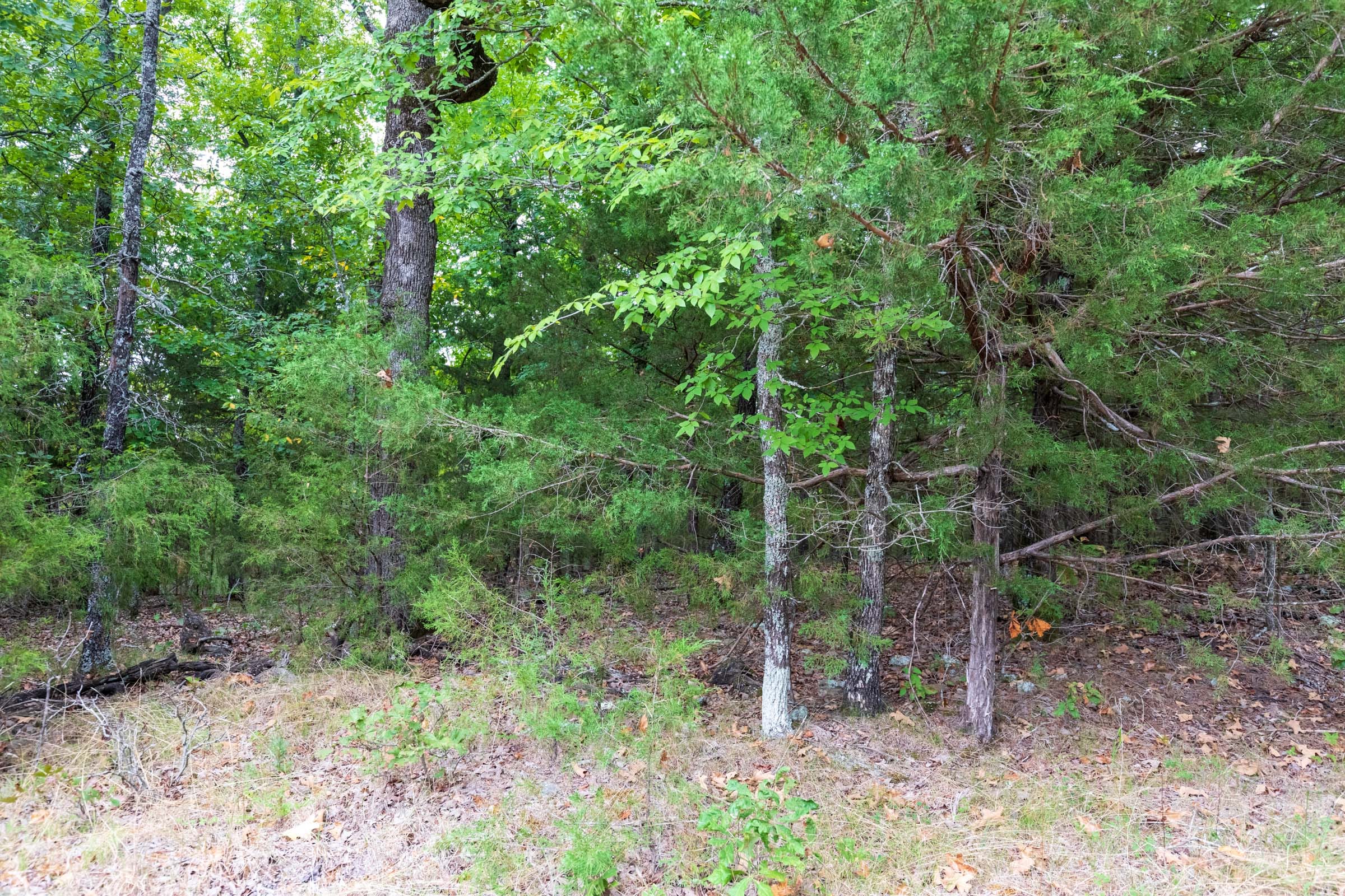 Heritage Bend Tract 22 photo 3