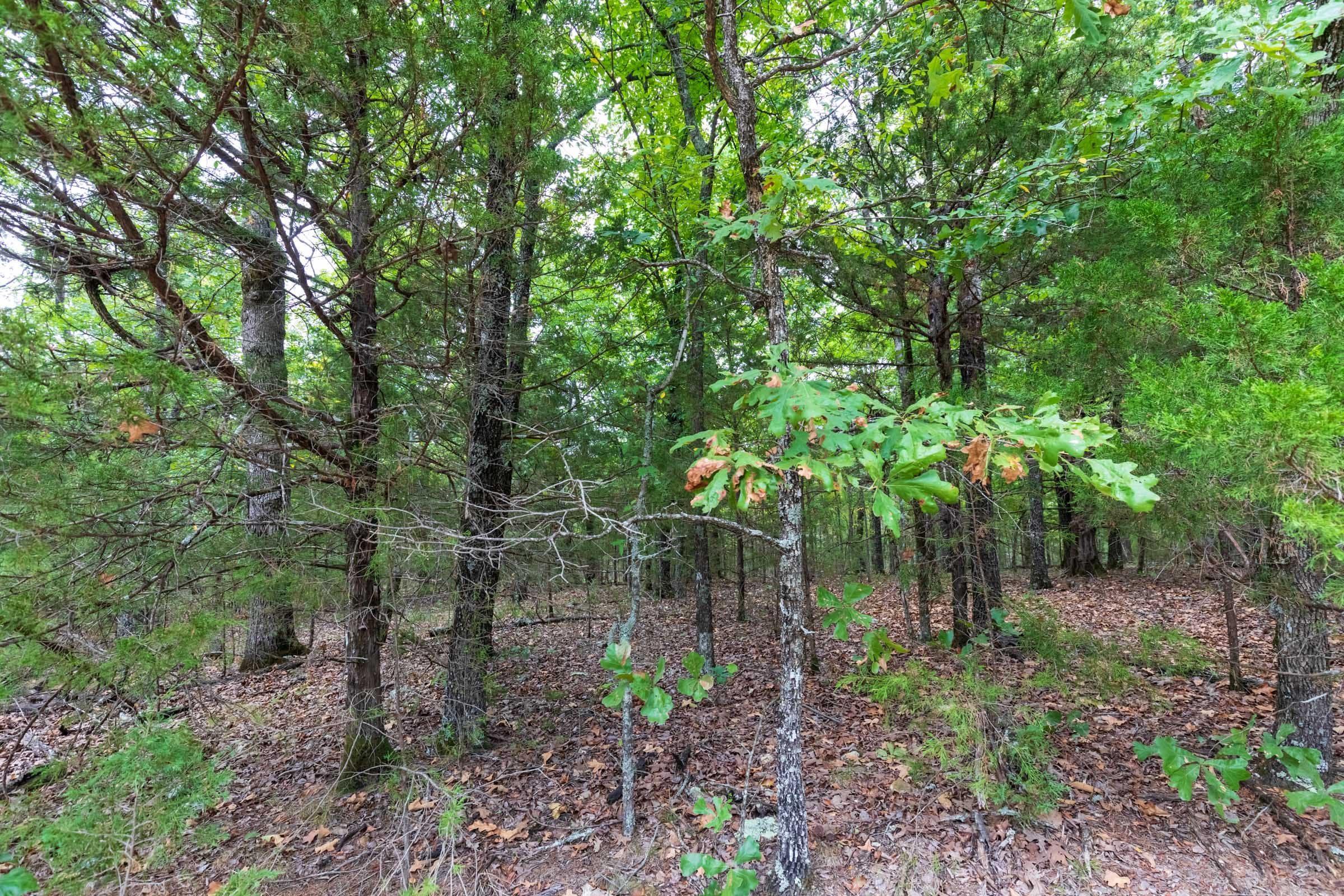 Heritage Bend Tract 22 photo 4