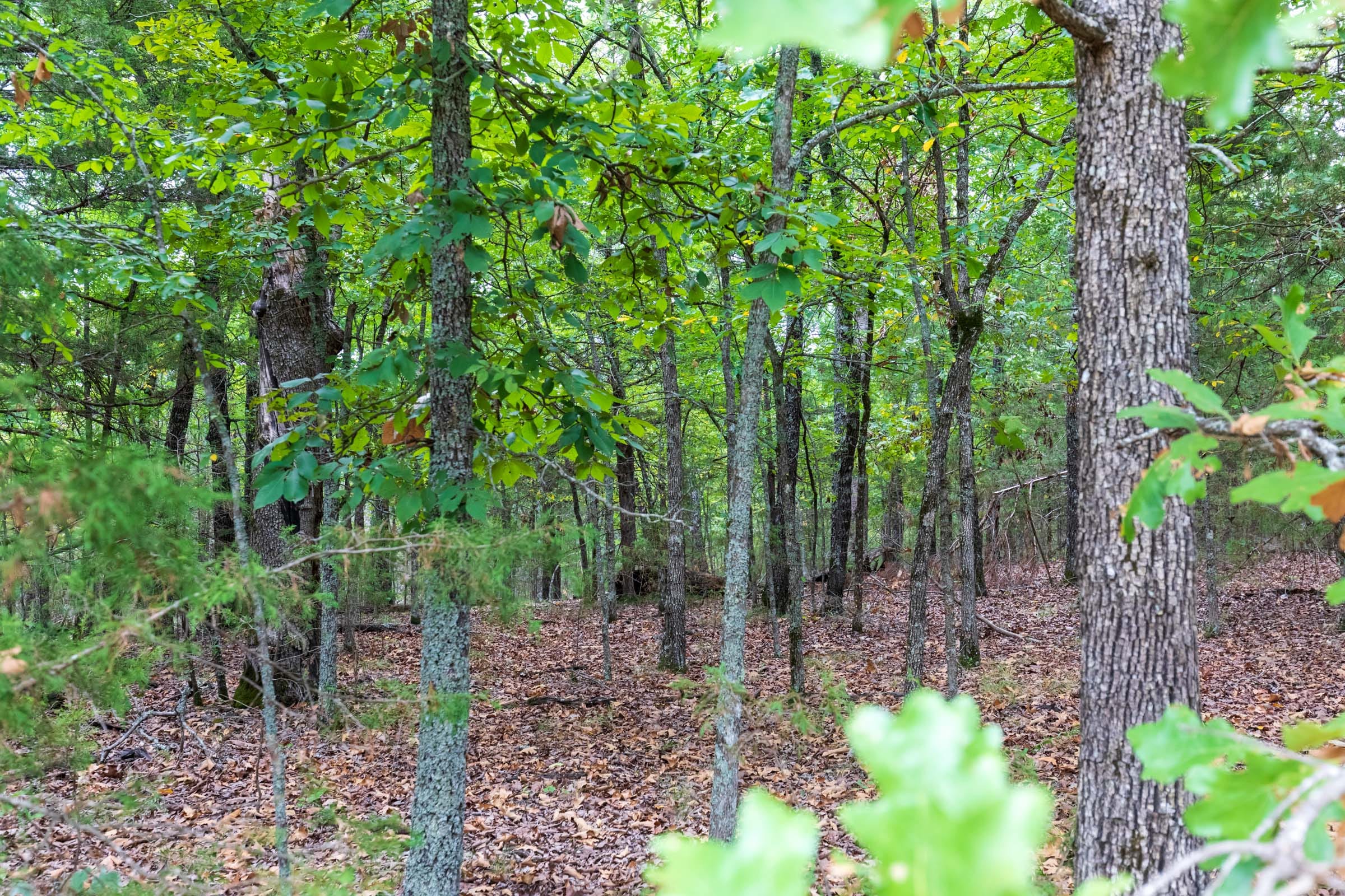 Heritage Bend Tract 22 photo 5