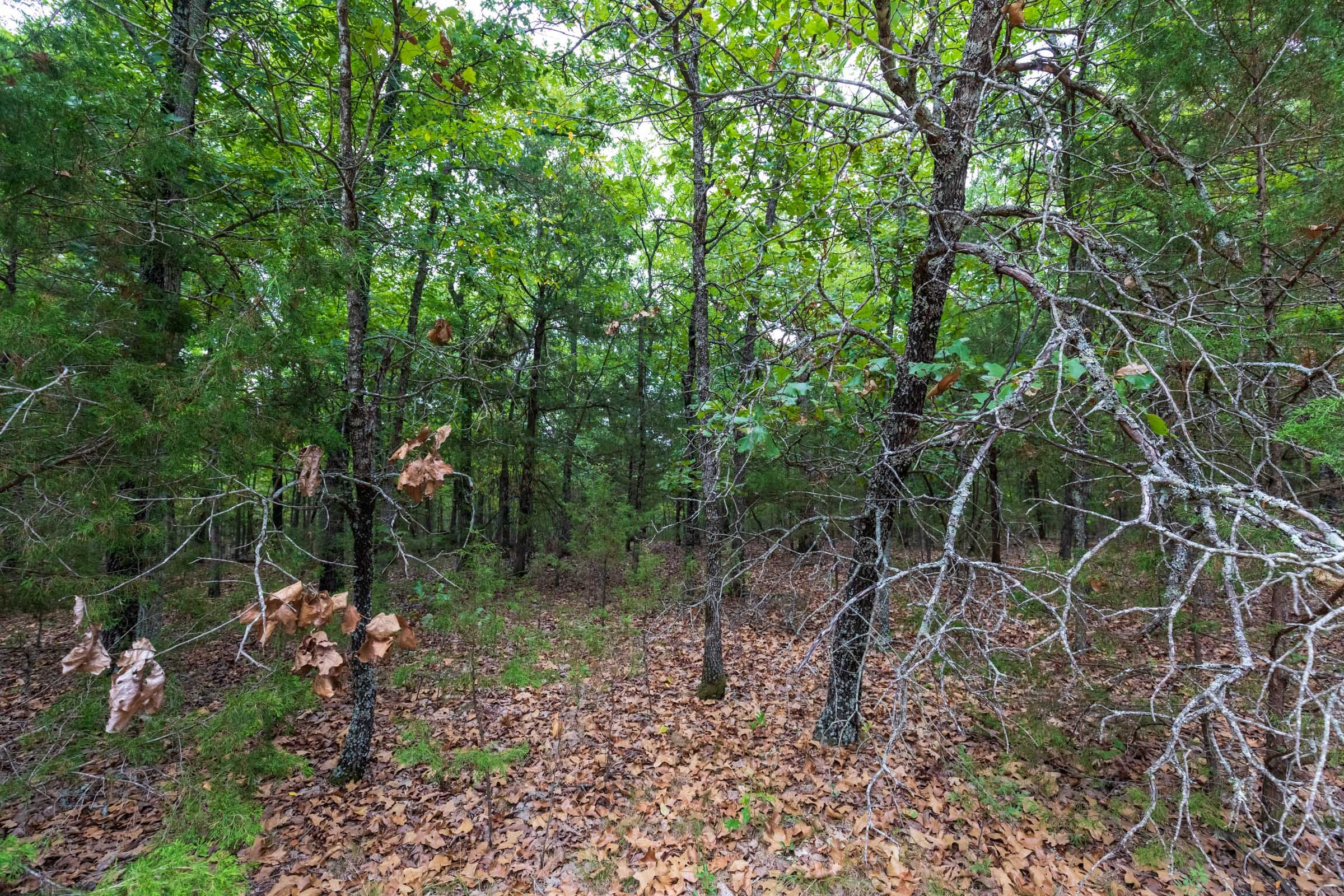 Heritage Bend Tract 22 photo 6