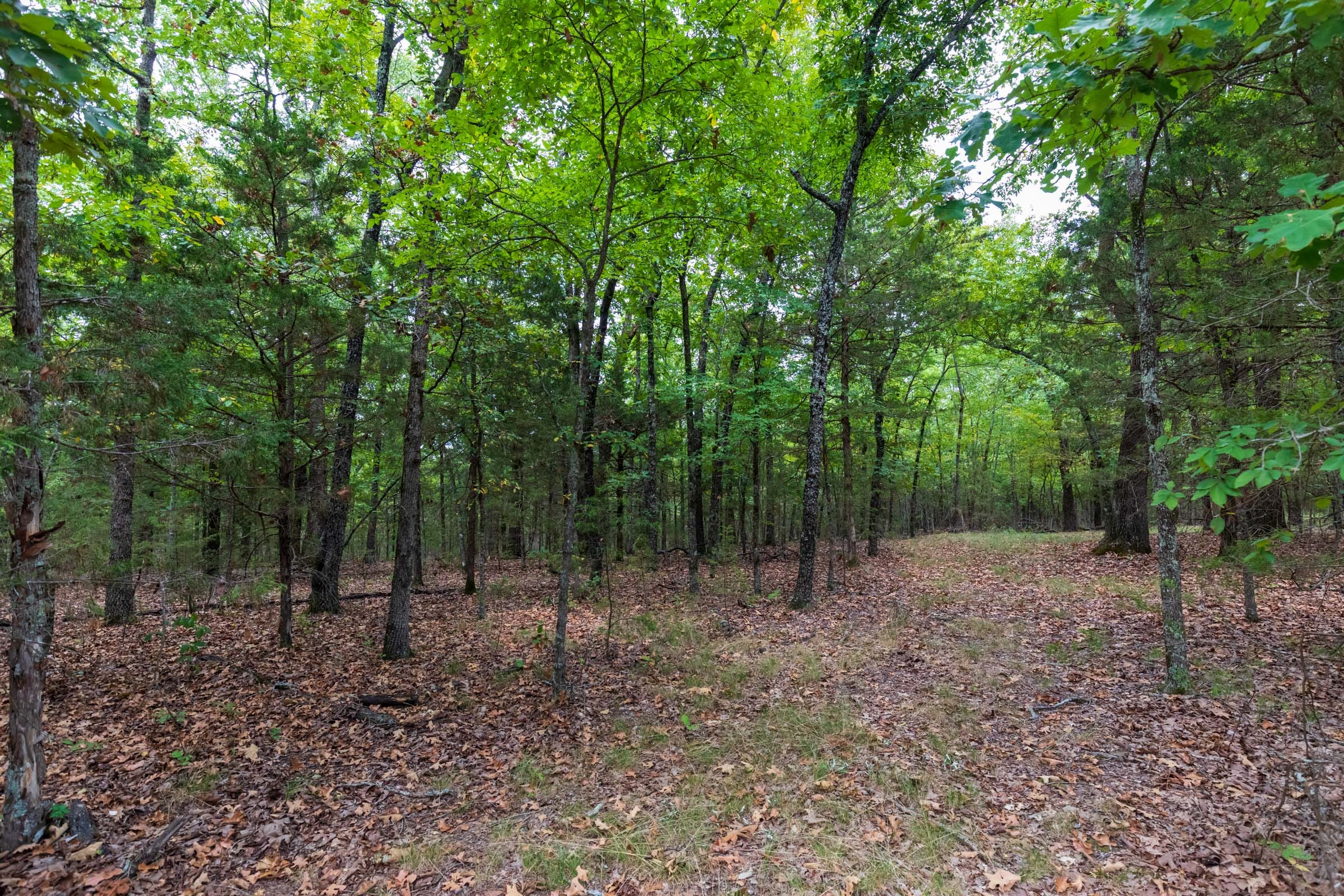 Heritage Bend Tract 22 photo 7