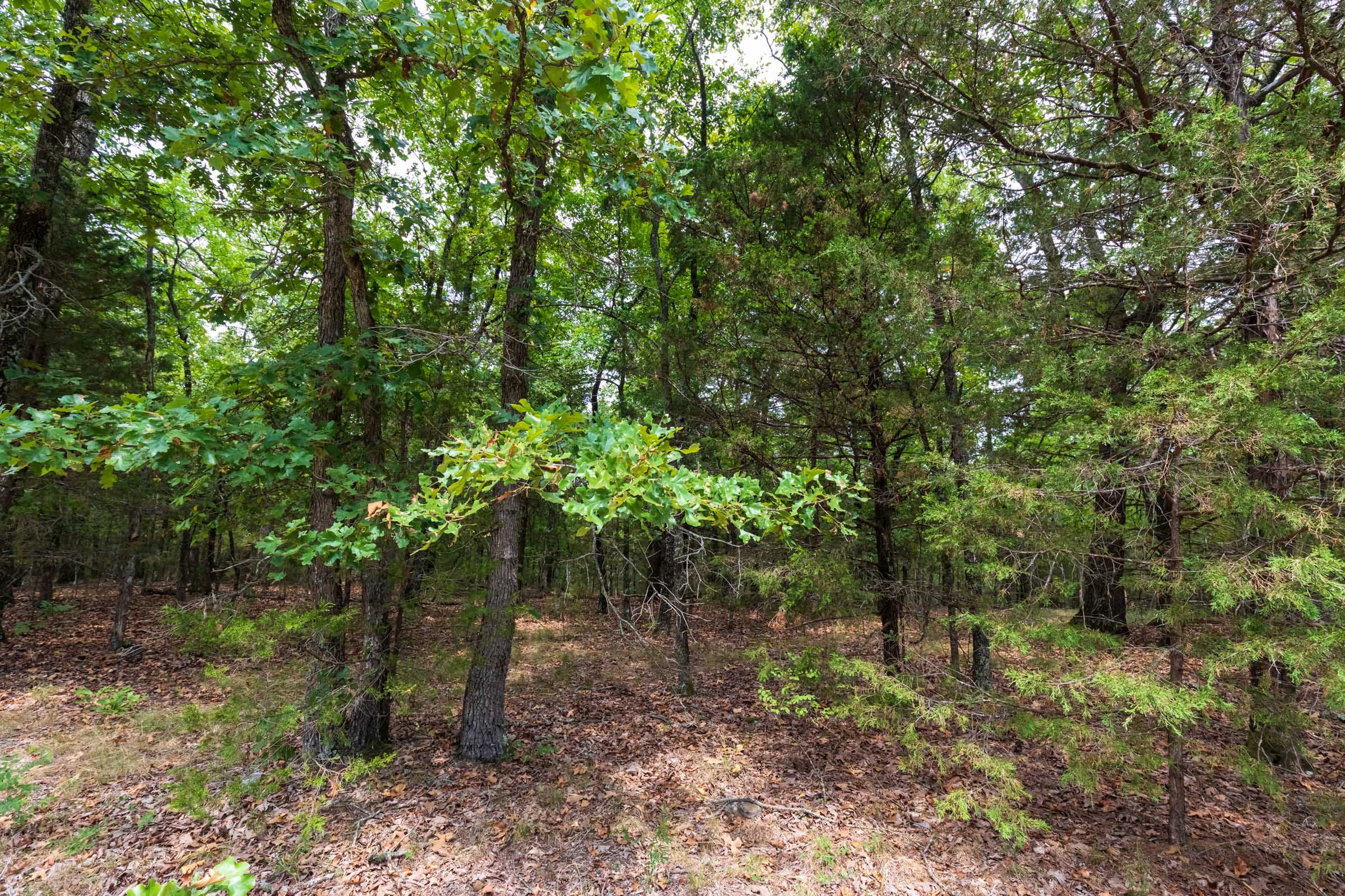 Heritage Bend Tract 22 photo 9
