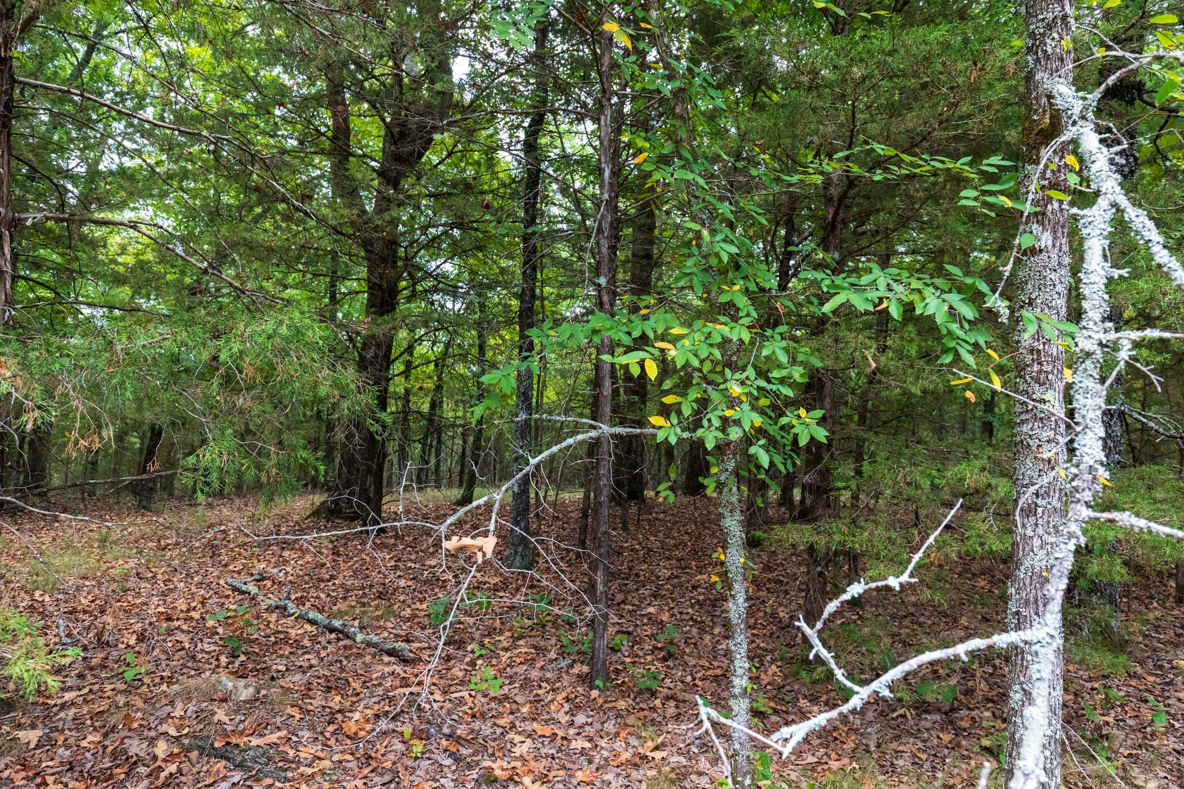 Heritage Bend Tract 22 photo 10
