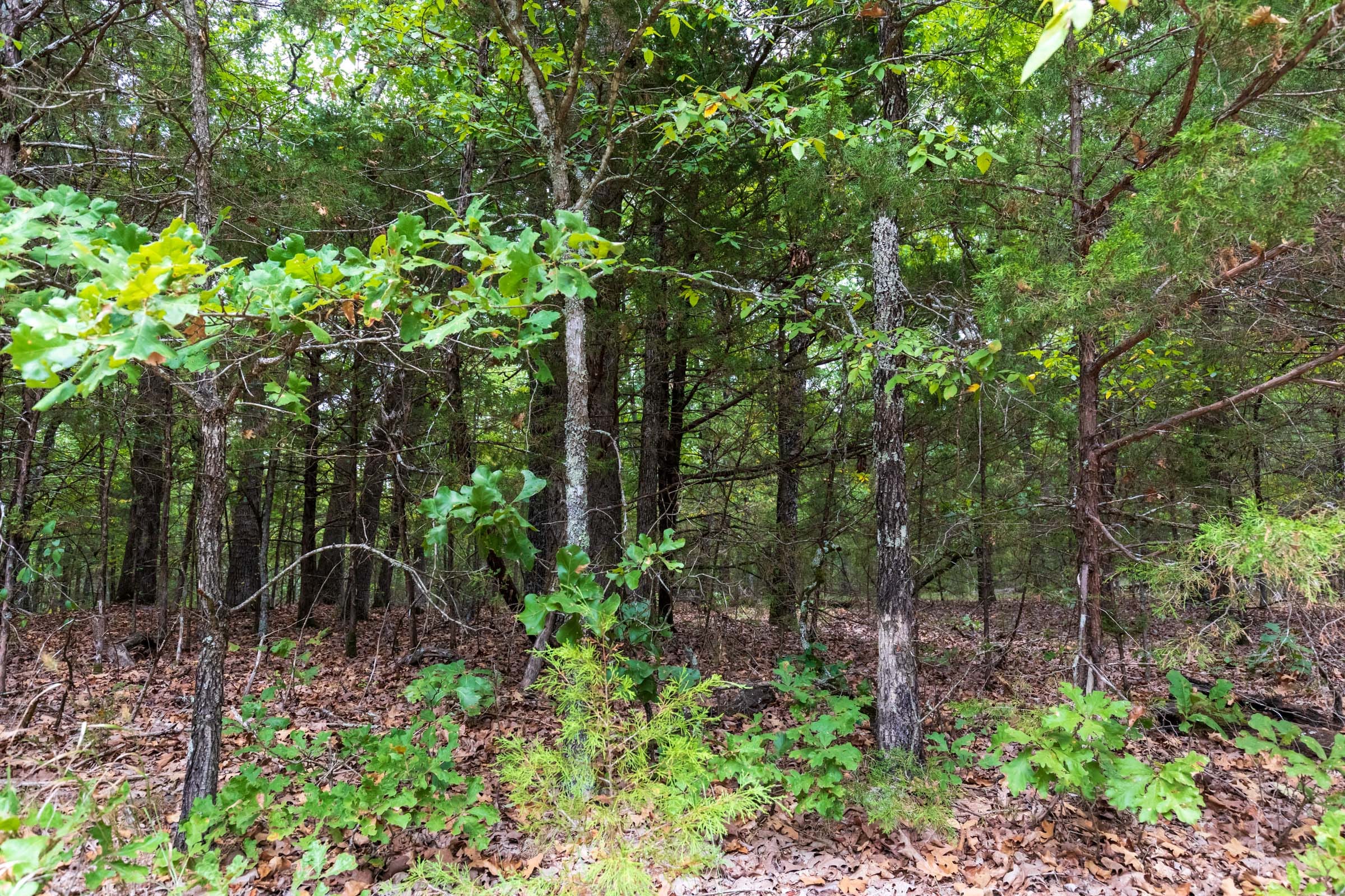 Heritage Bend Tract 22 photo 11