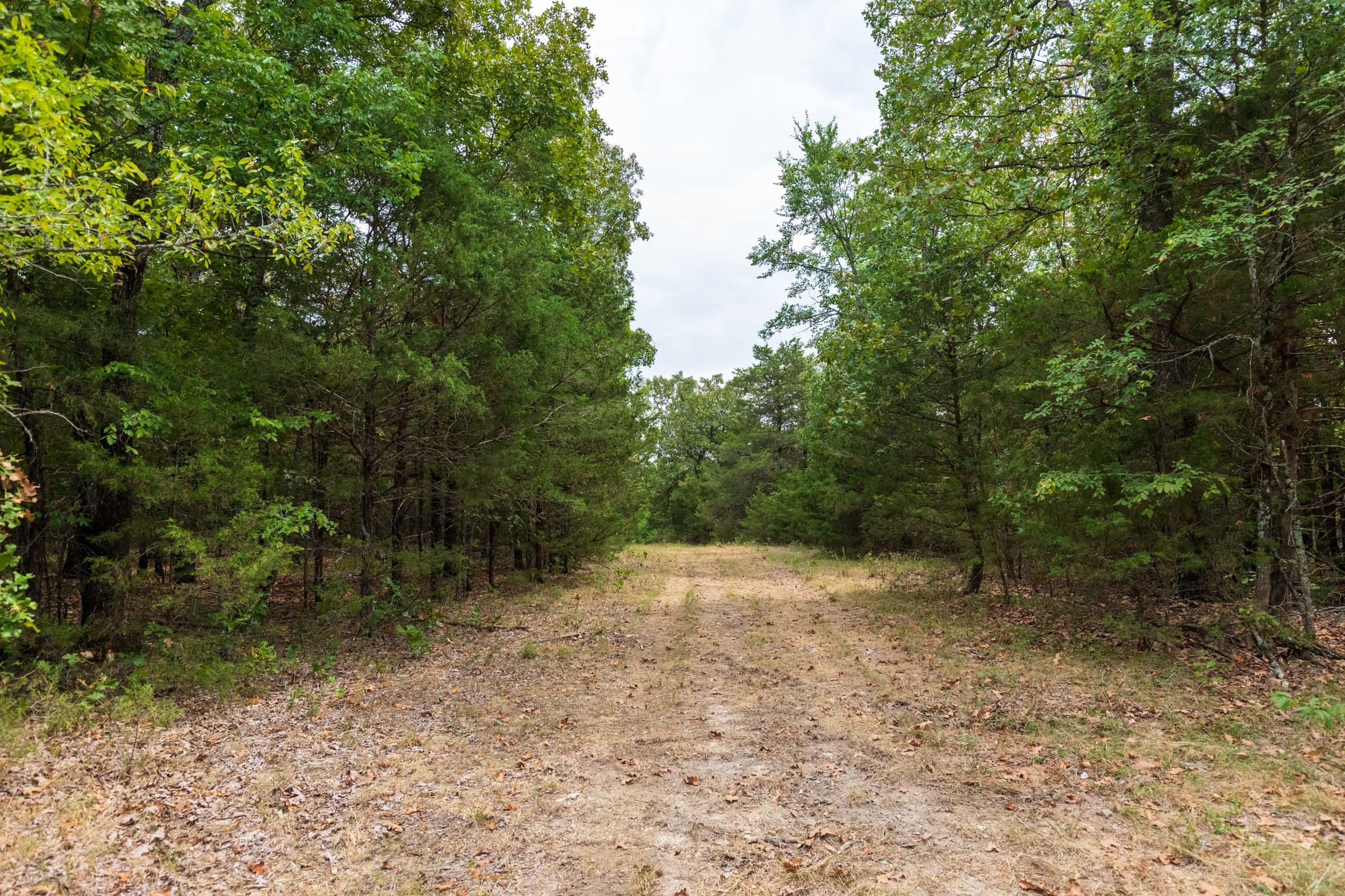 Heritage Bend Tract 22 photo 8