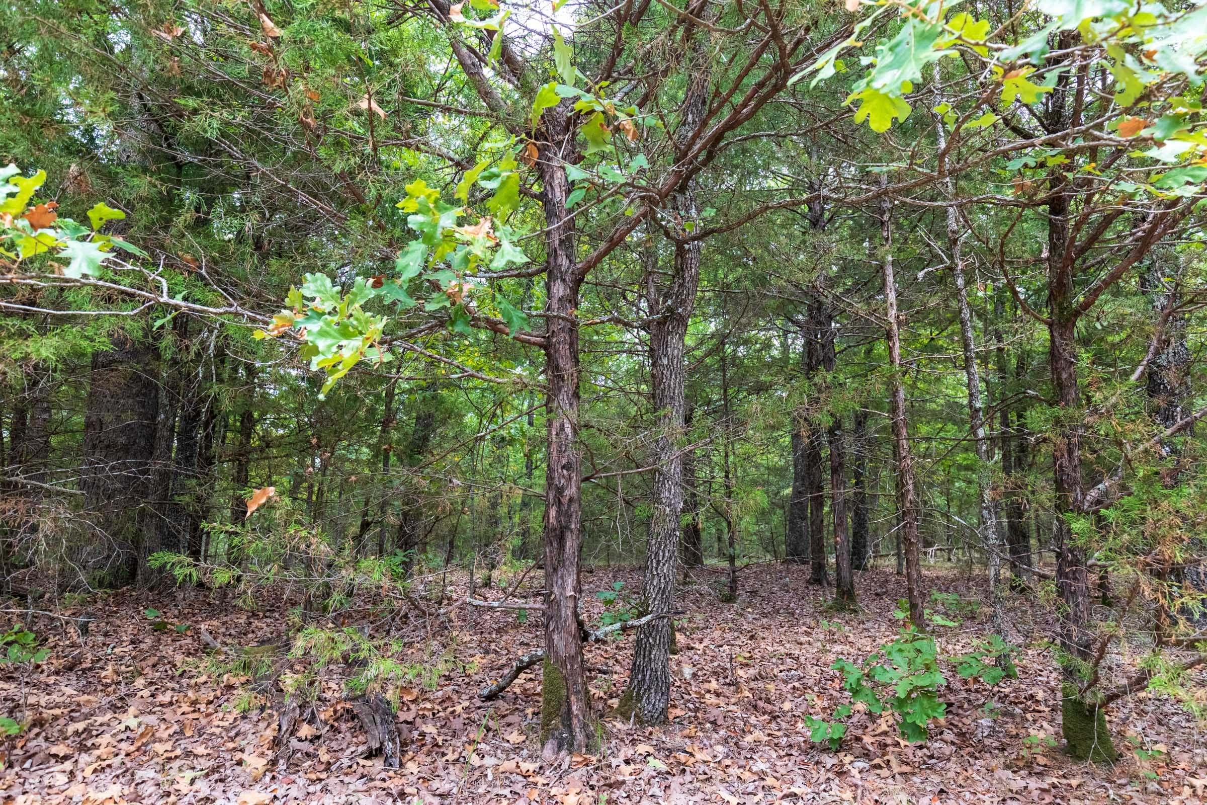 Heritage Bend Tract 22 photo 12