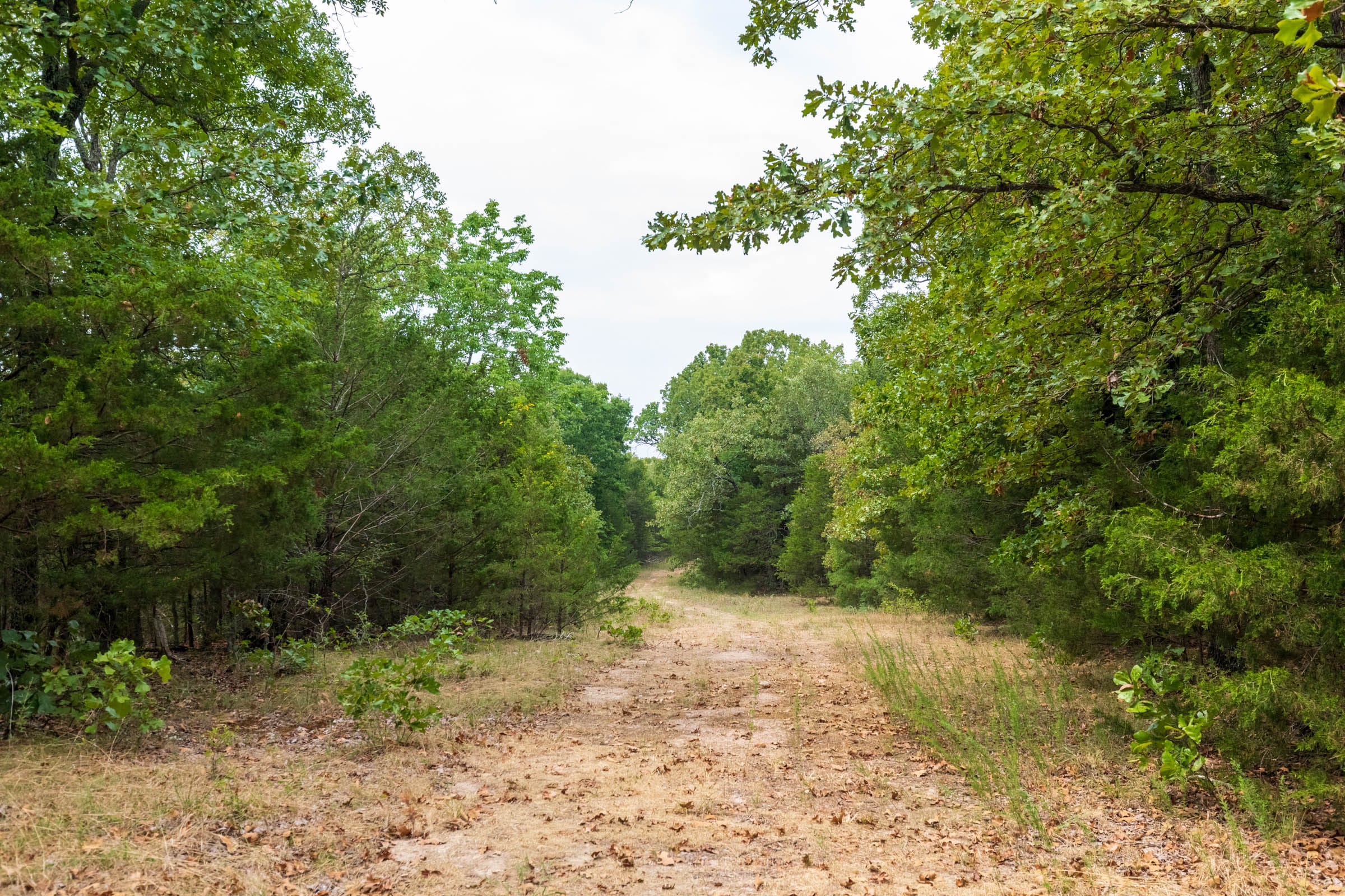 Heritage Bend Tract 22 photo 1