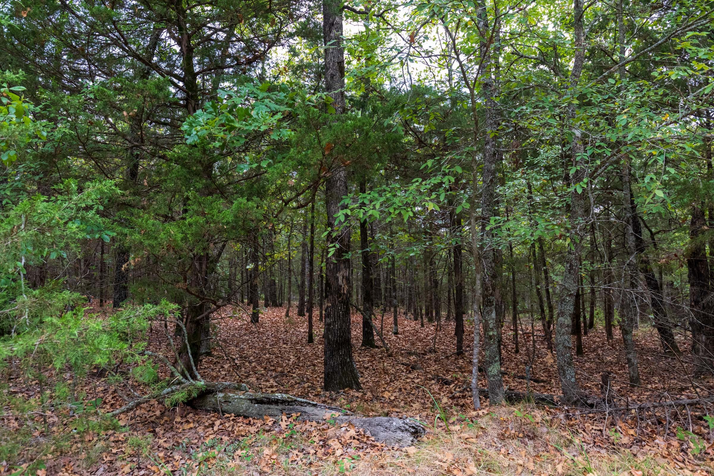 Heritage Bend Tract 22 photo 13