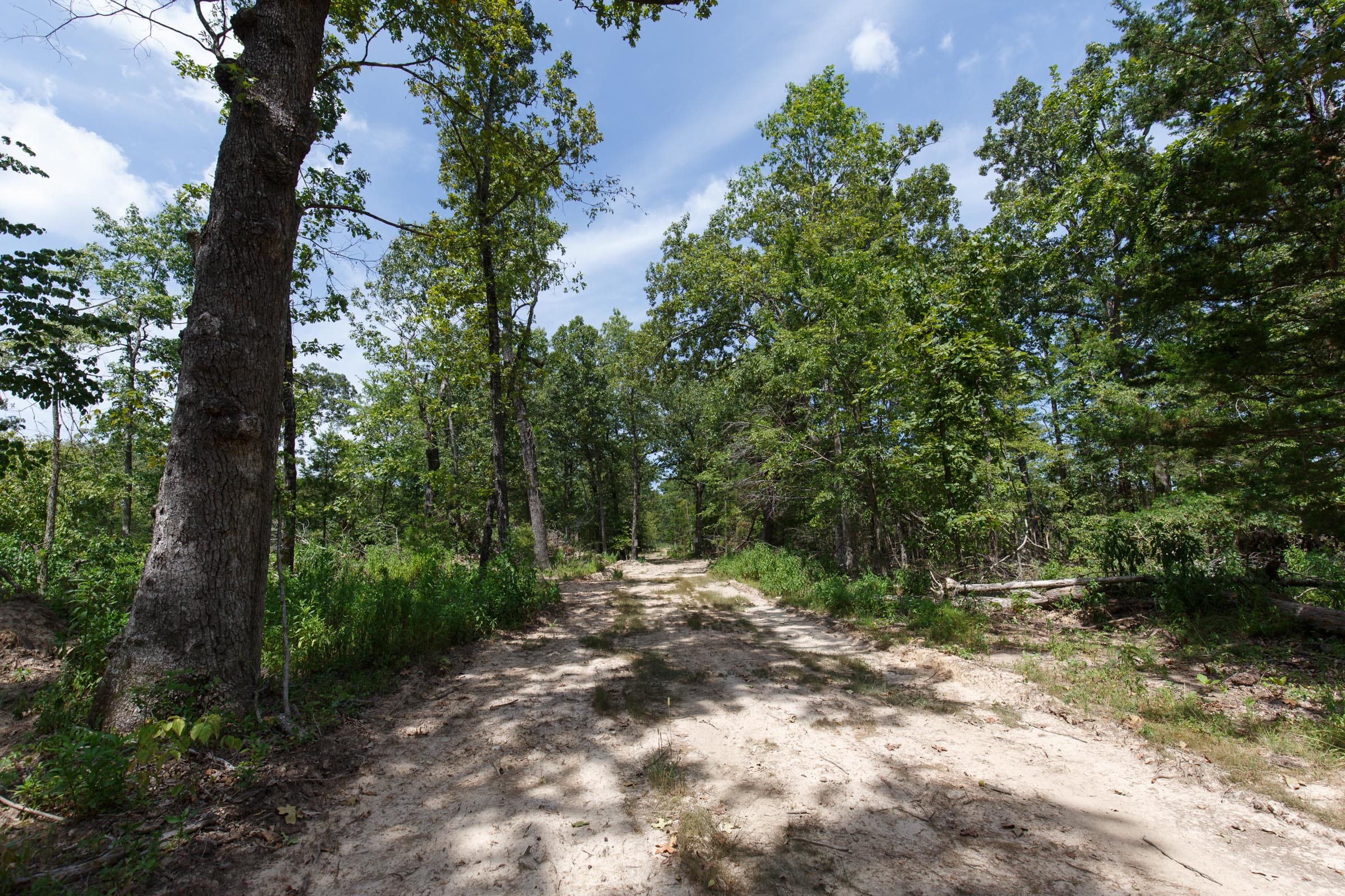 Wildwood Tract 6 photo 4