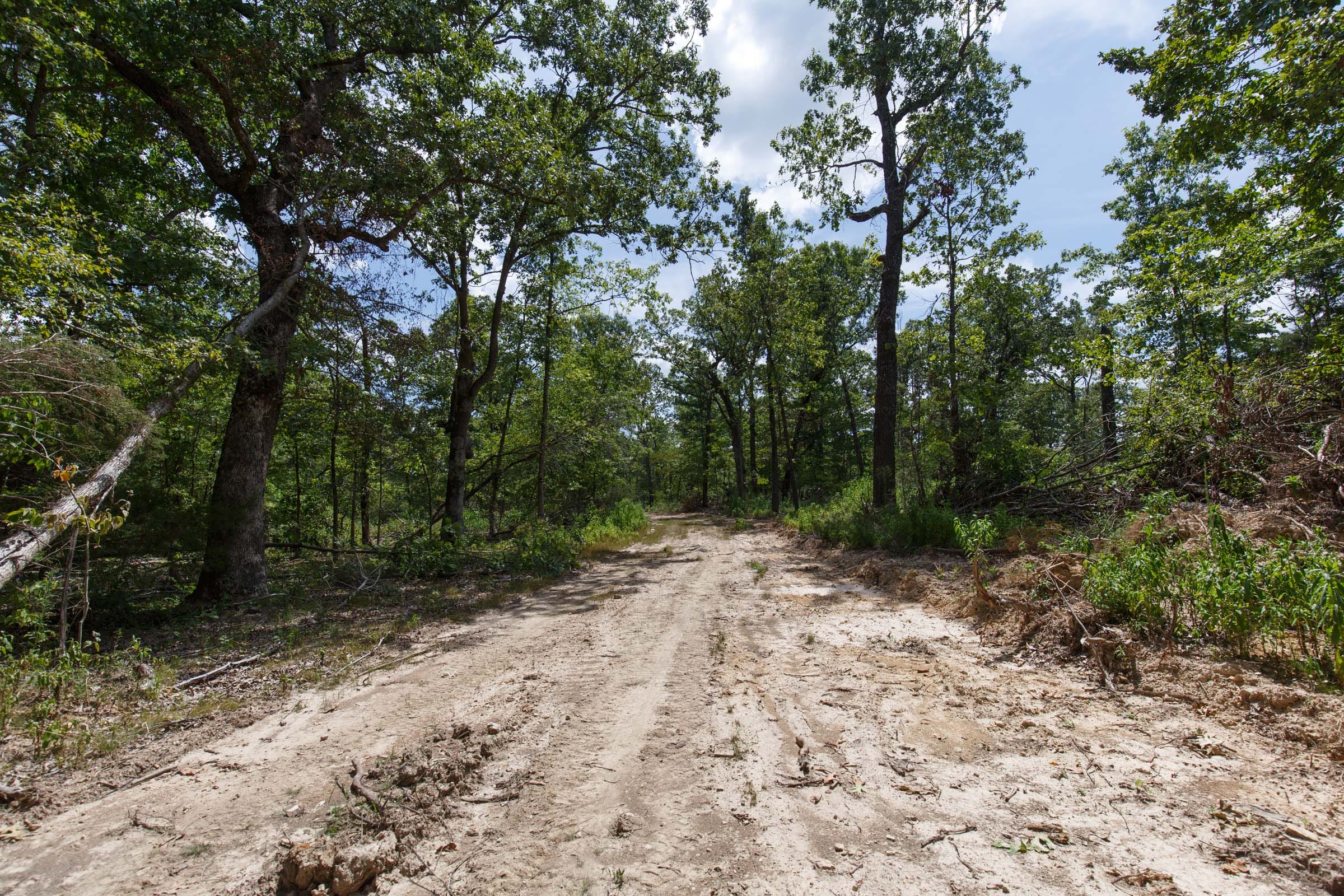 Wildwood Tract 6 photo 1