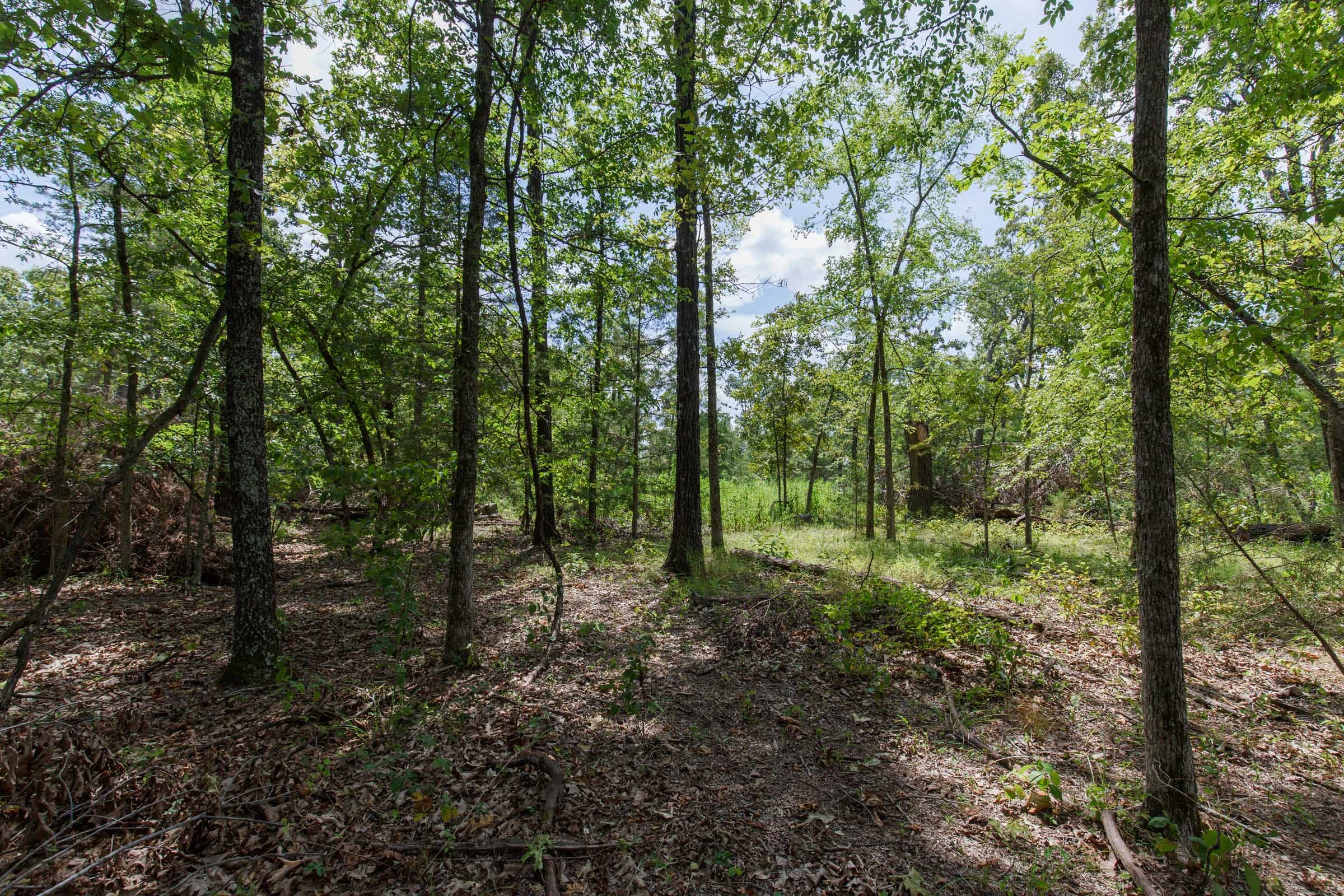 Wildwood Tract 6 photo 3
