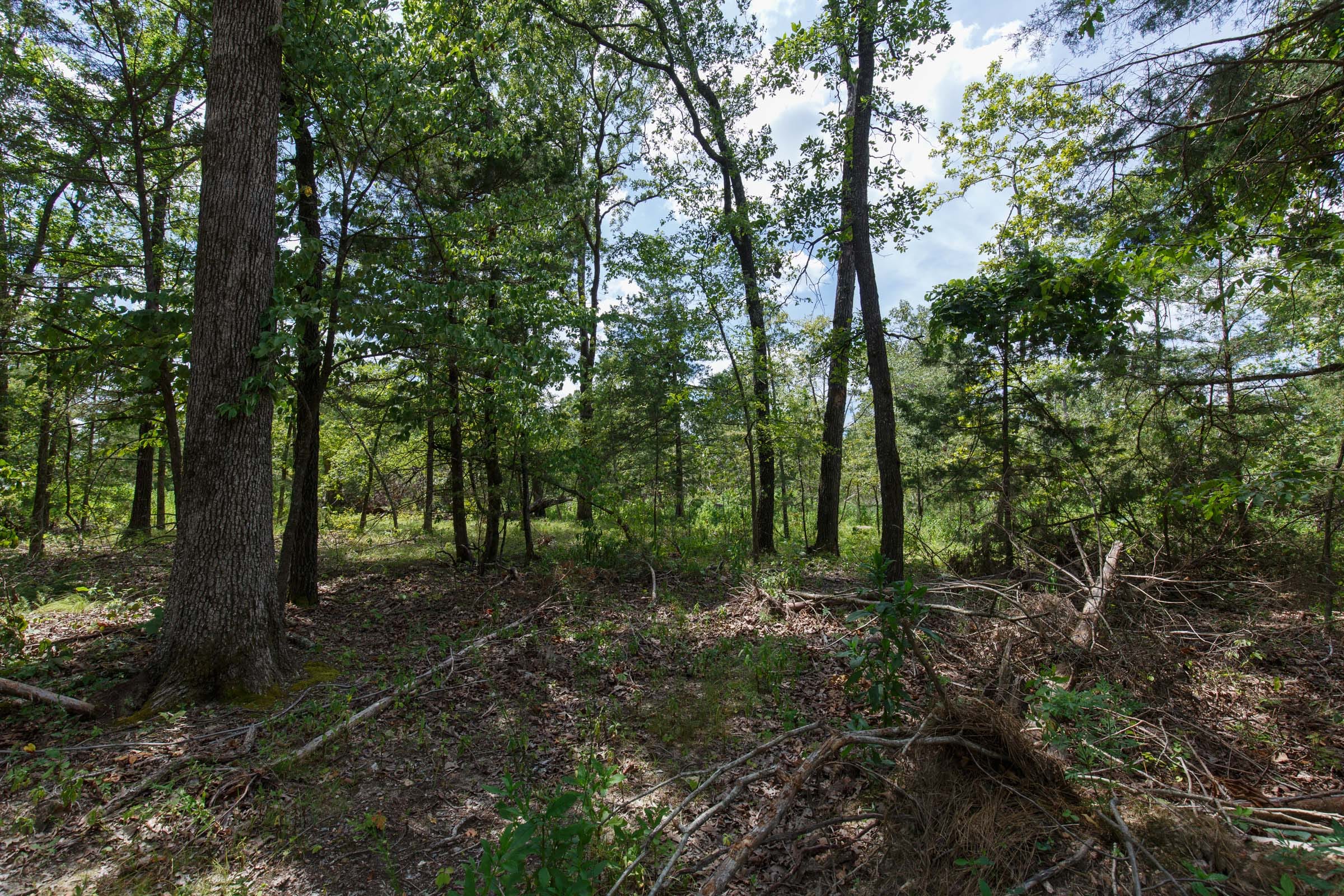 Wildwood Tract 6 photo 5