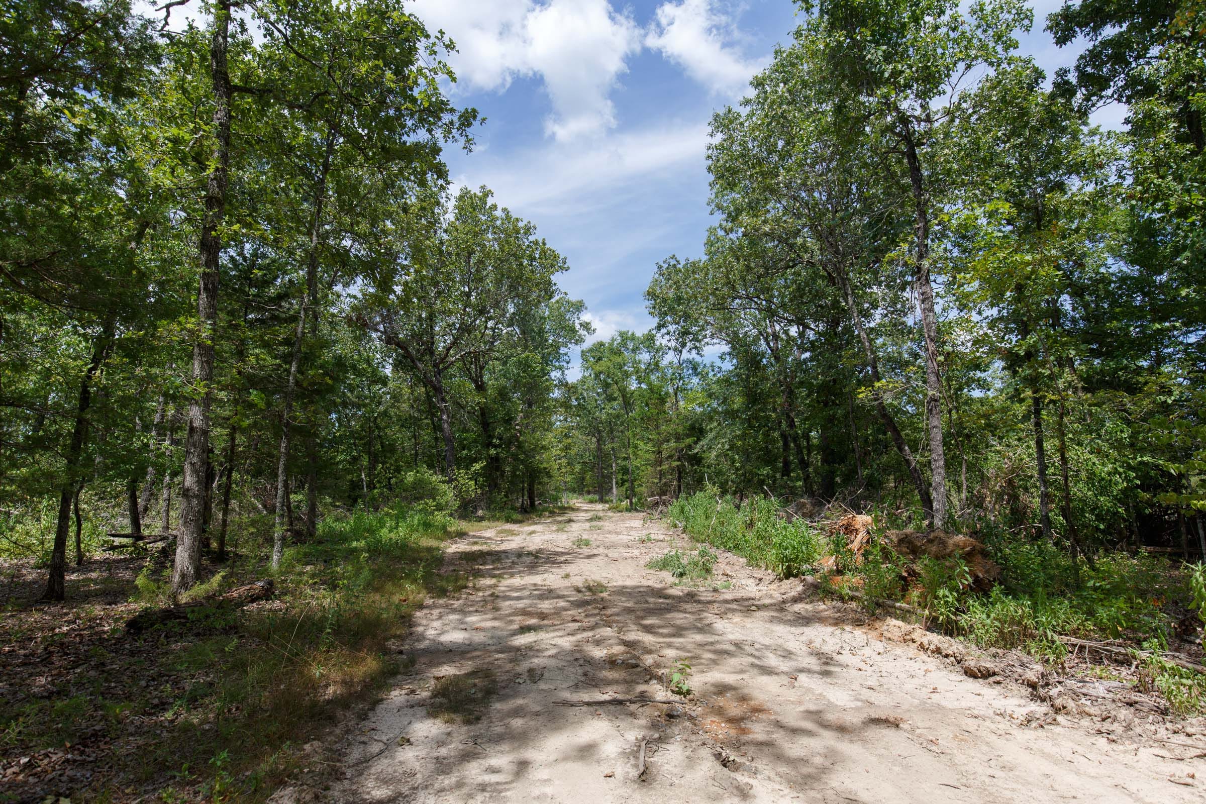Wildwood Tract 6 photo 7