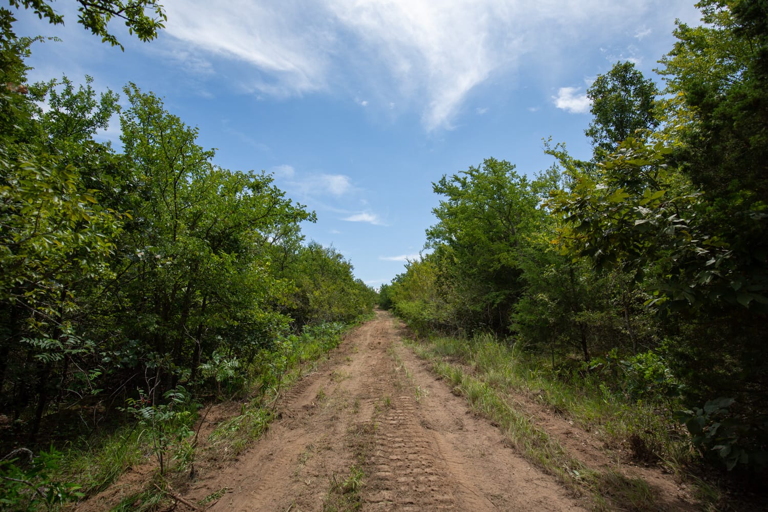 Timber Ridge Tract 42 photo 1
