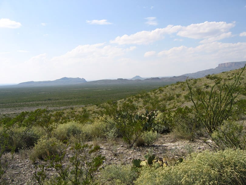 Terlingua Ranch Tract 3034 photo 5