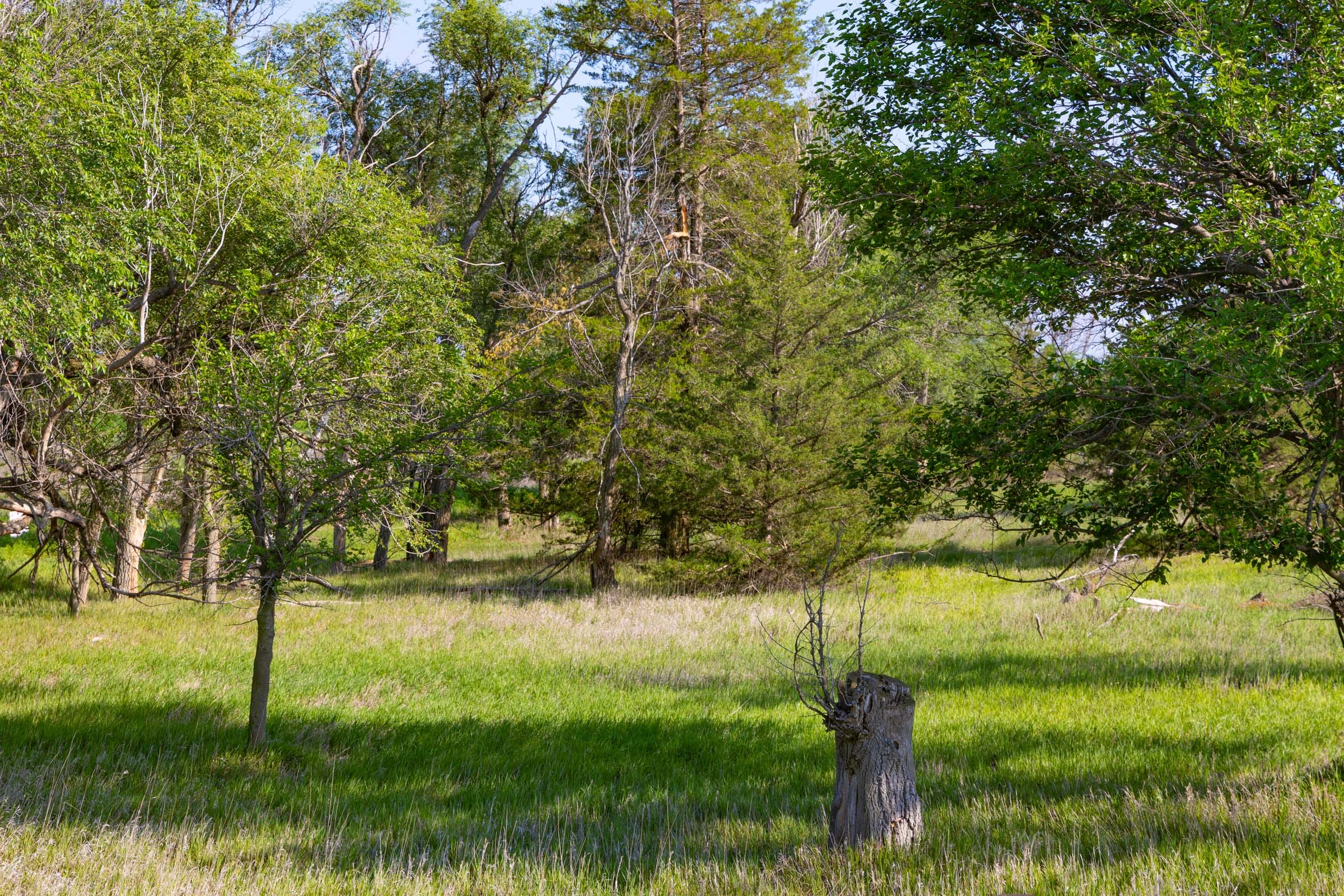 Crandall's Corner Tract 3 photo 3
