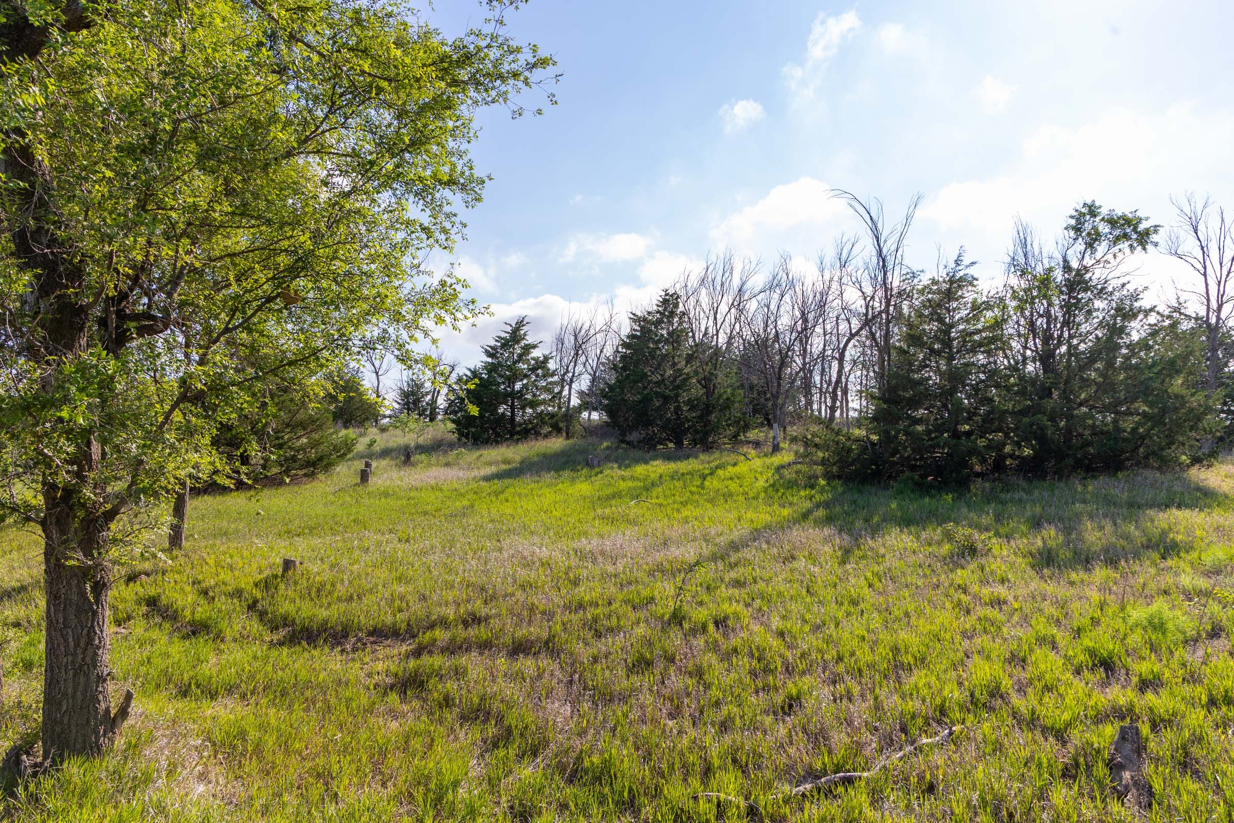 Crandall's Corner Tract 3 photo 10
